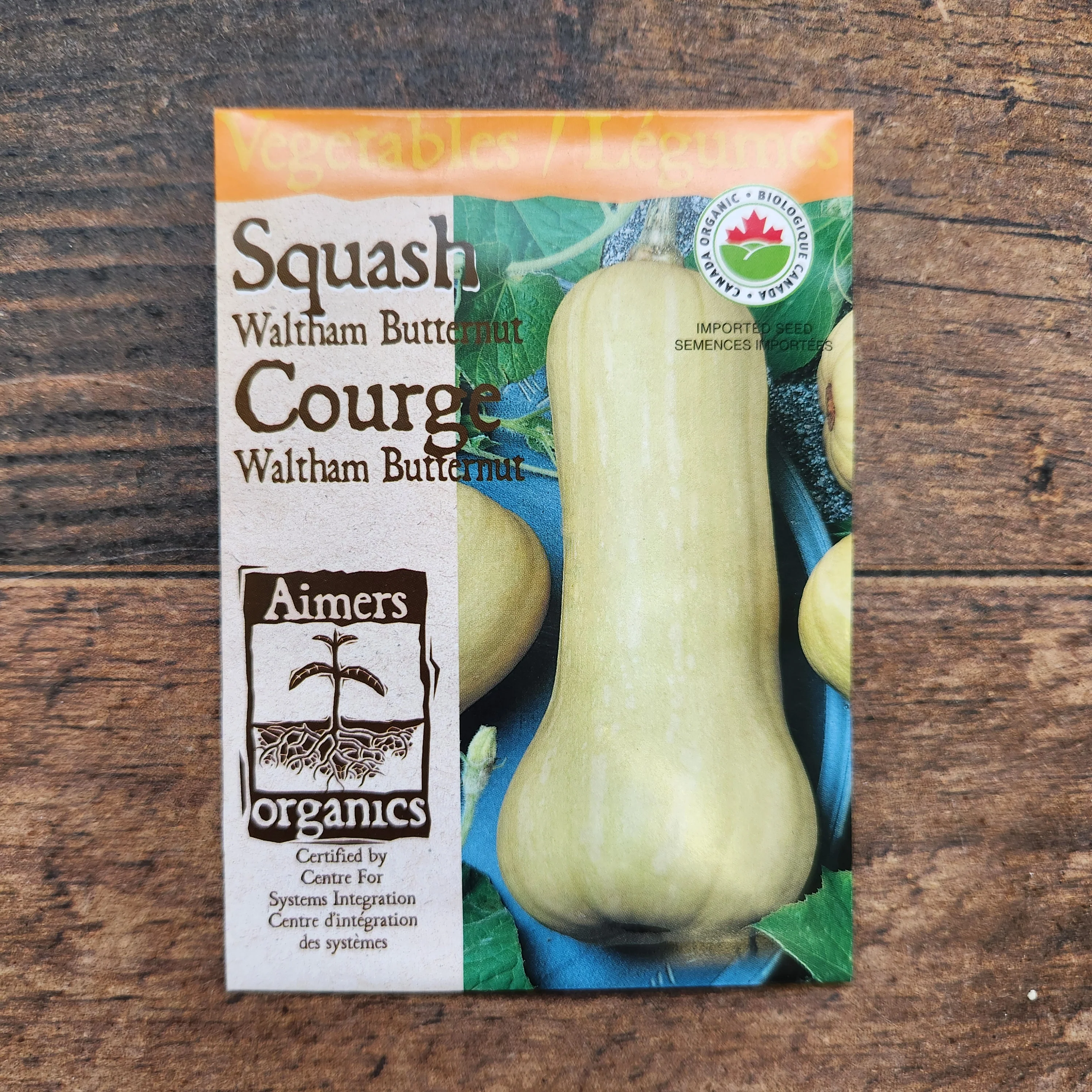 Courge 'Waltham Butternut' bio - Image 2