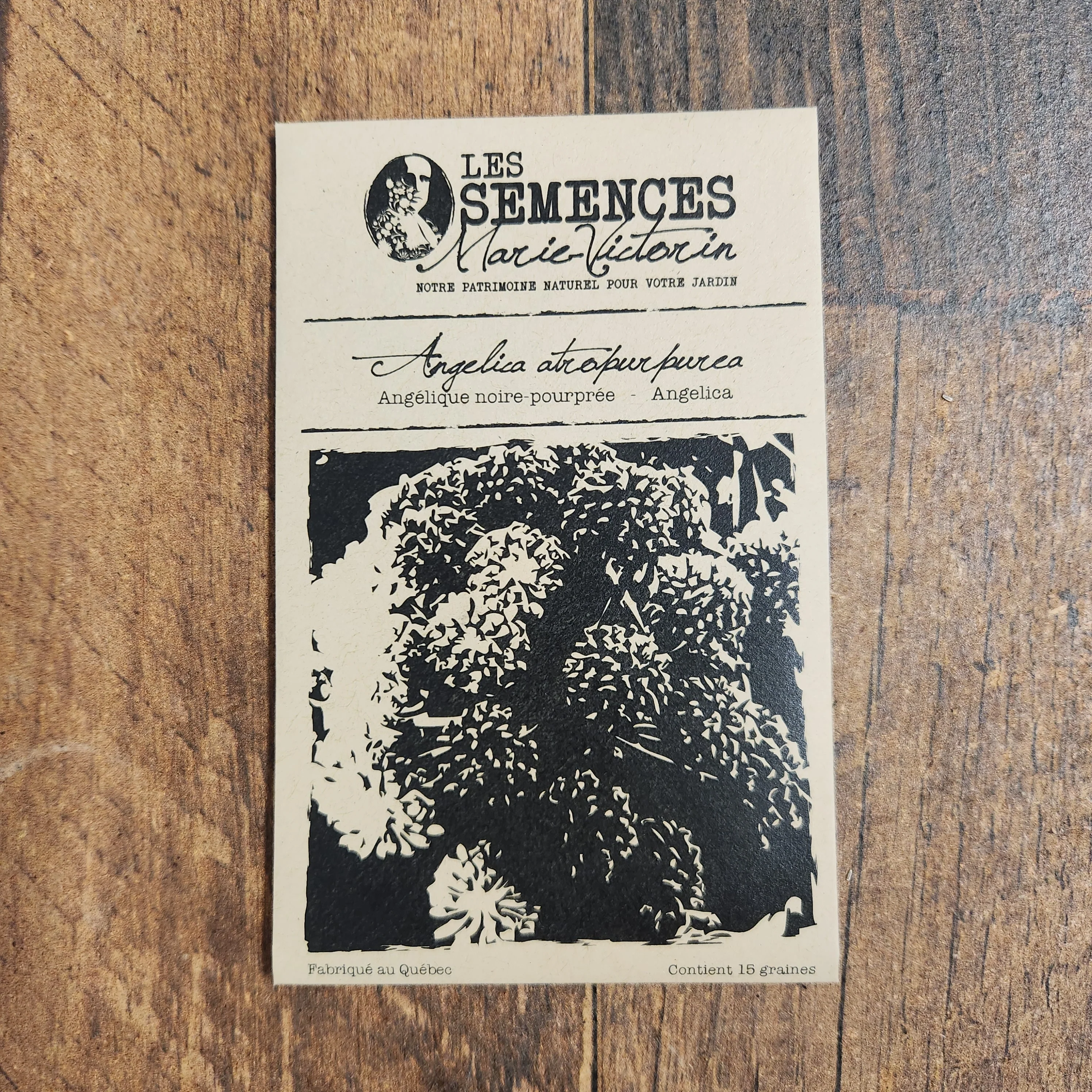 Angélique noire-pourprée - Image 2