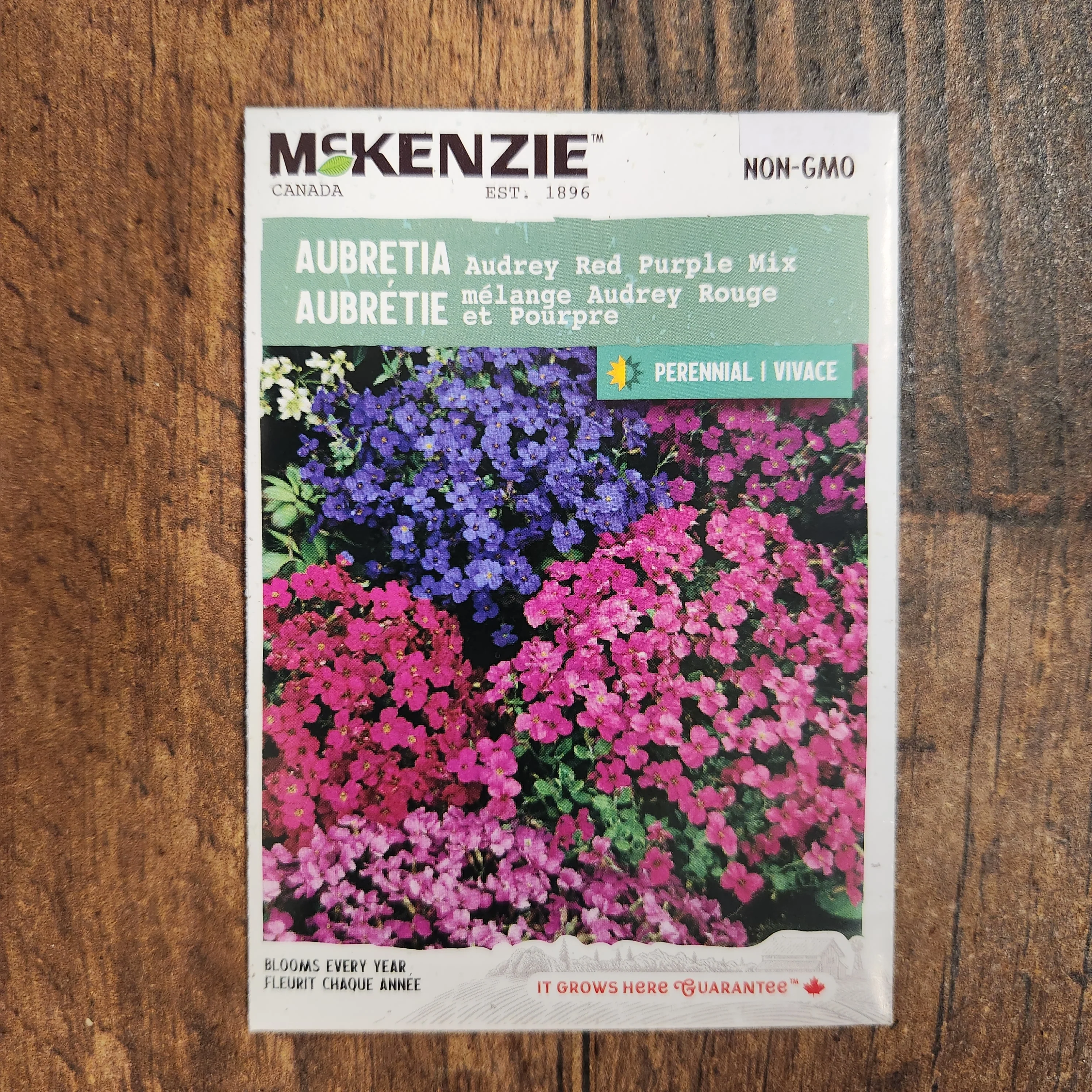 Aubretia mélange 'Audrey' rouge et mauve - Image 2