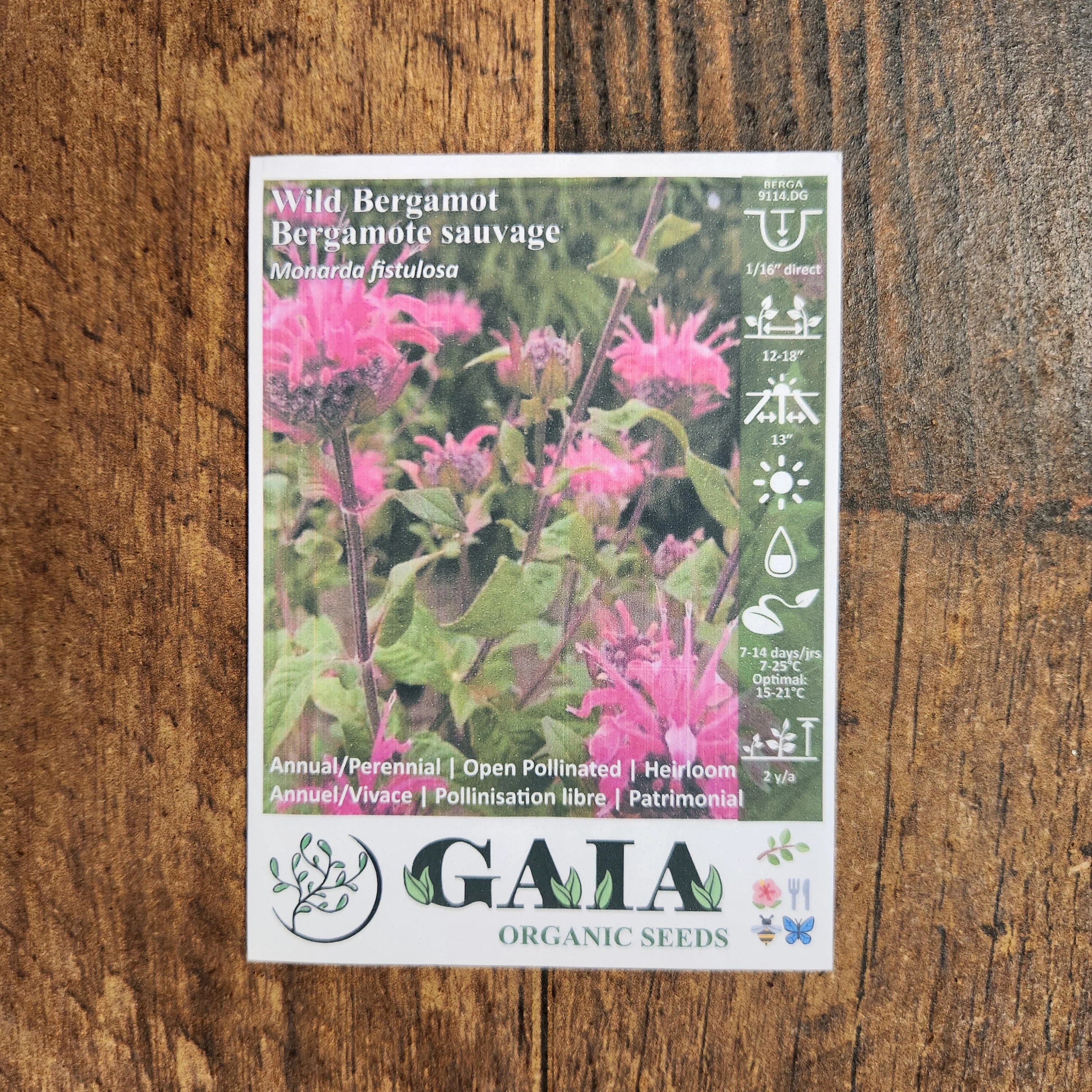 Monarde 'Wild Bergamot' bio