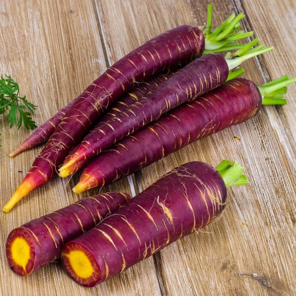 Carotte mauve 'Cosmic purple'