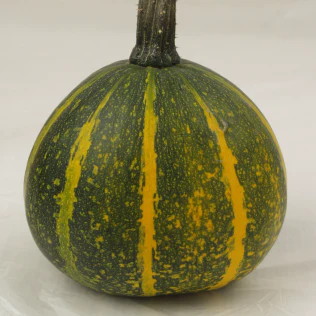 Citrouille 'Kakai' bio