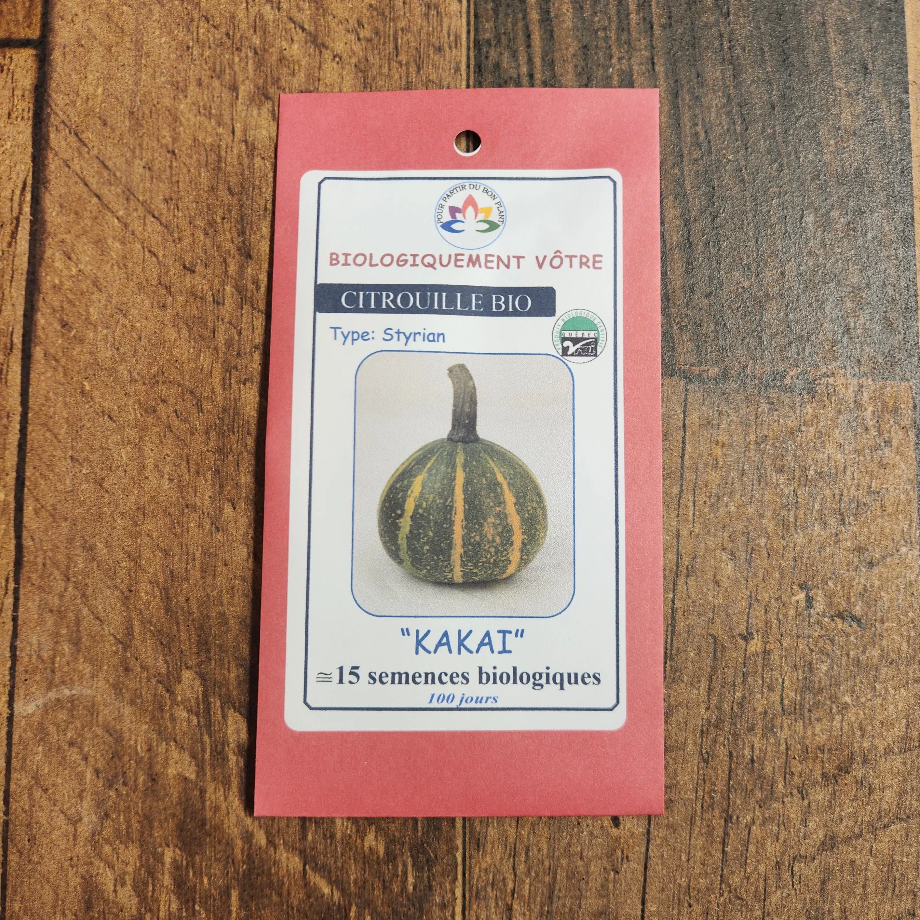 Citrouille 'Kakai' bio - Image 2