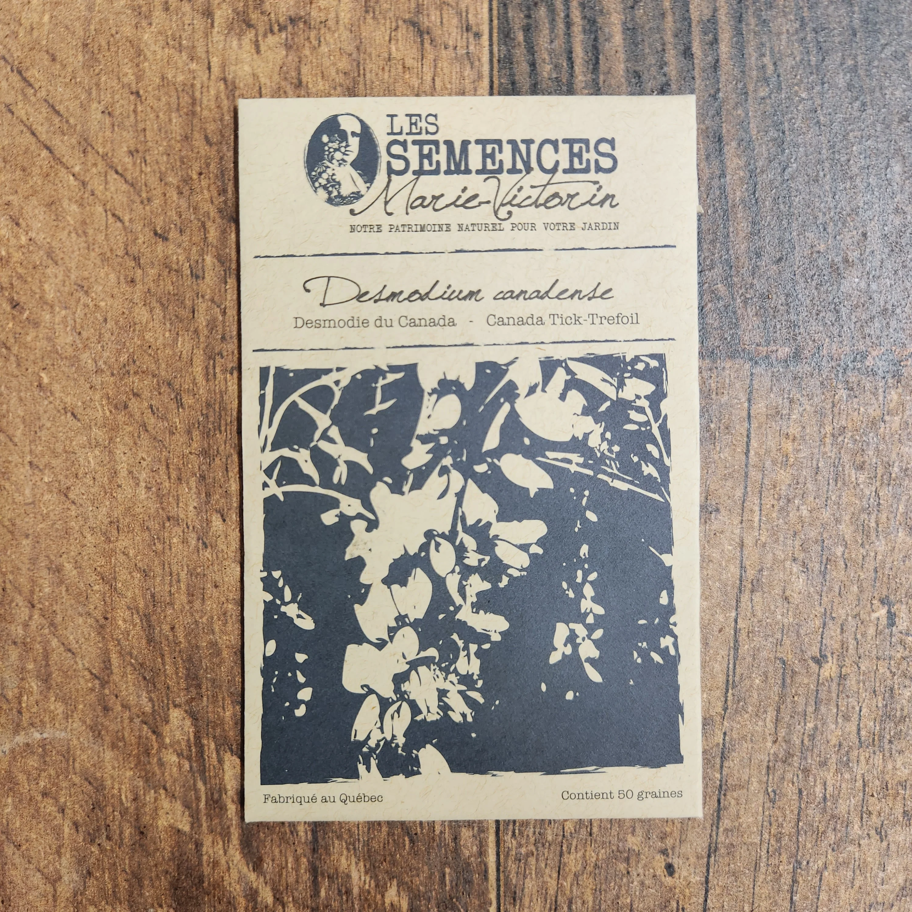 Desmodie du Canada - Image 2