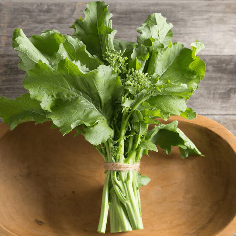 Brocoli 'Spring Raab' bio