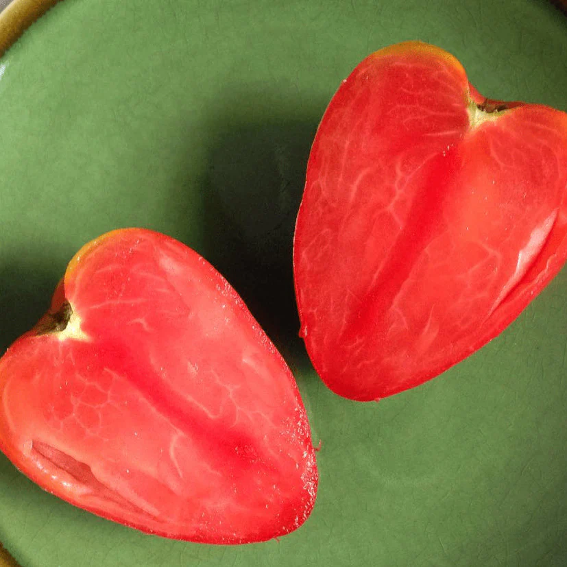 Tomate 'Hungarian Heart' bio