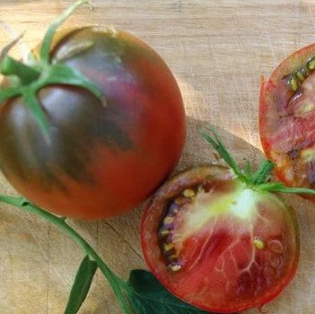 Tomate 'Southern Night' bio