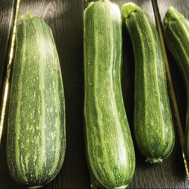 Zucchini 'Cocozelle' bio