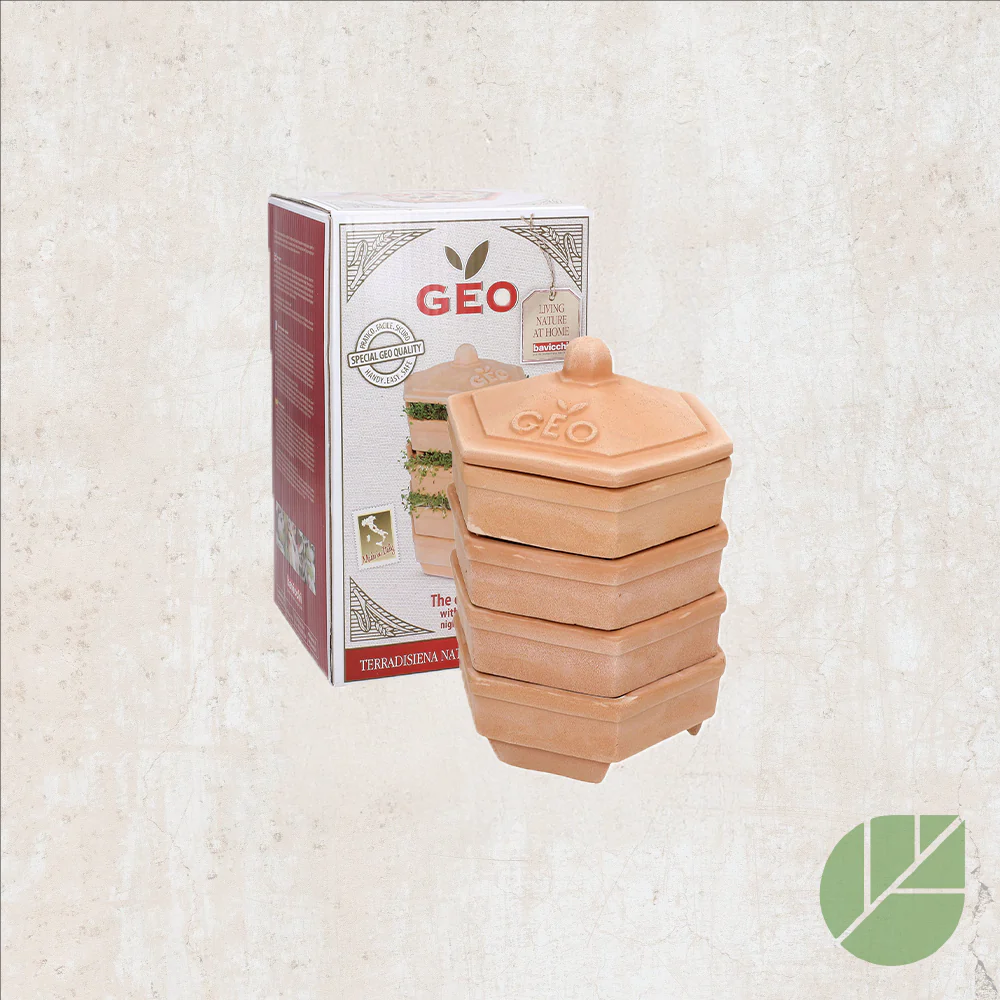 Germoir en terre cuite GEO