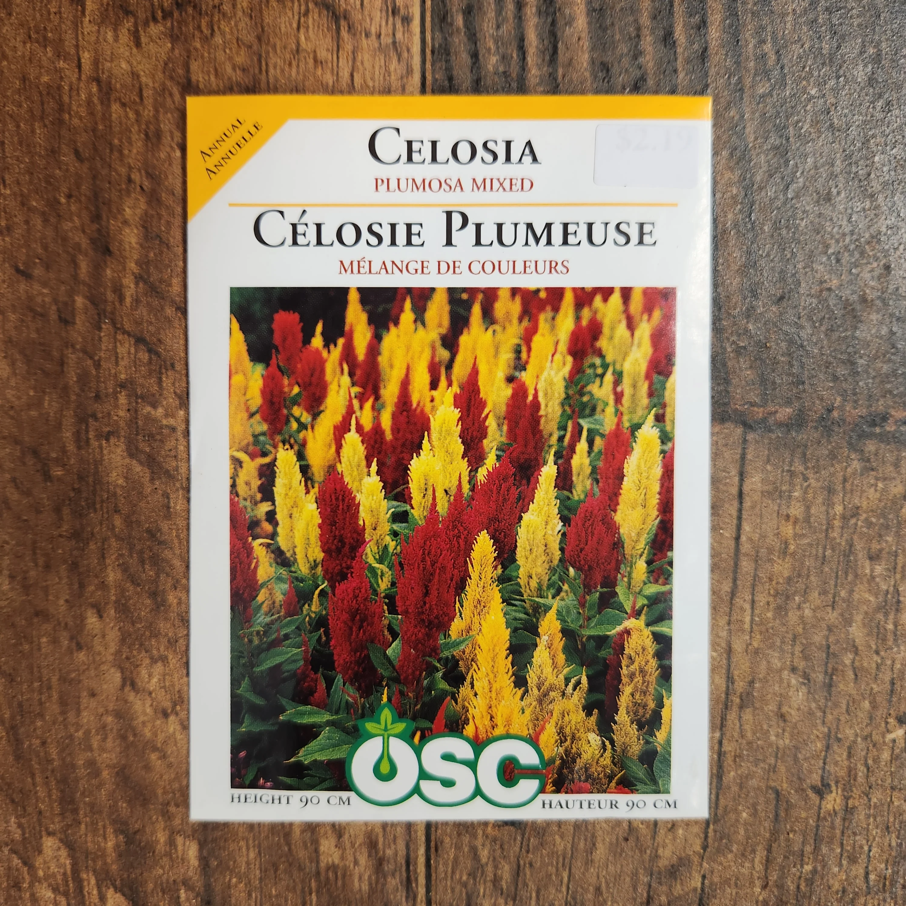 Celosie 'Couleurs Mixtes' - Image 2