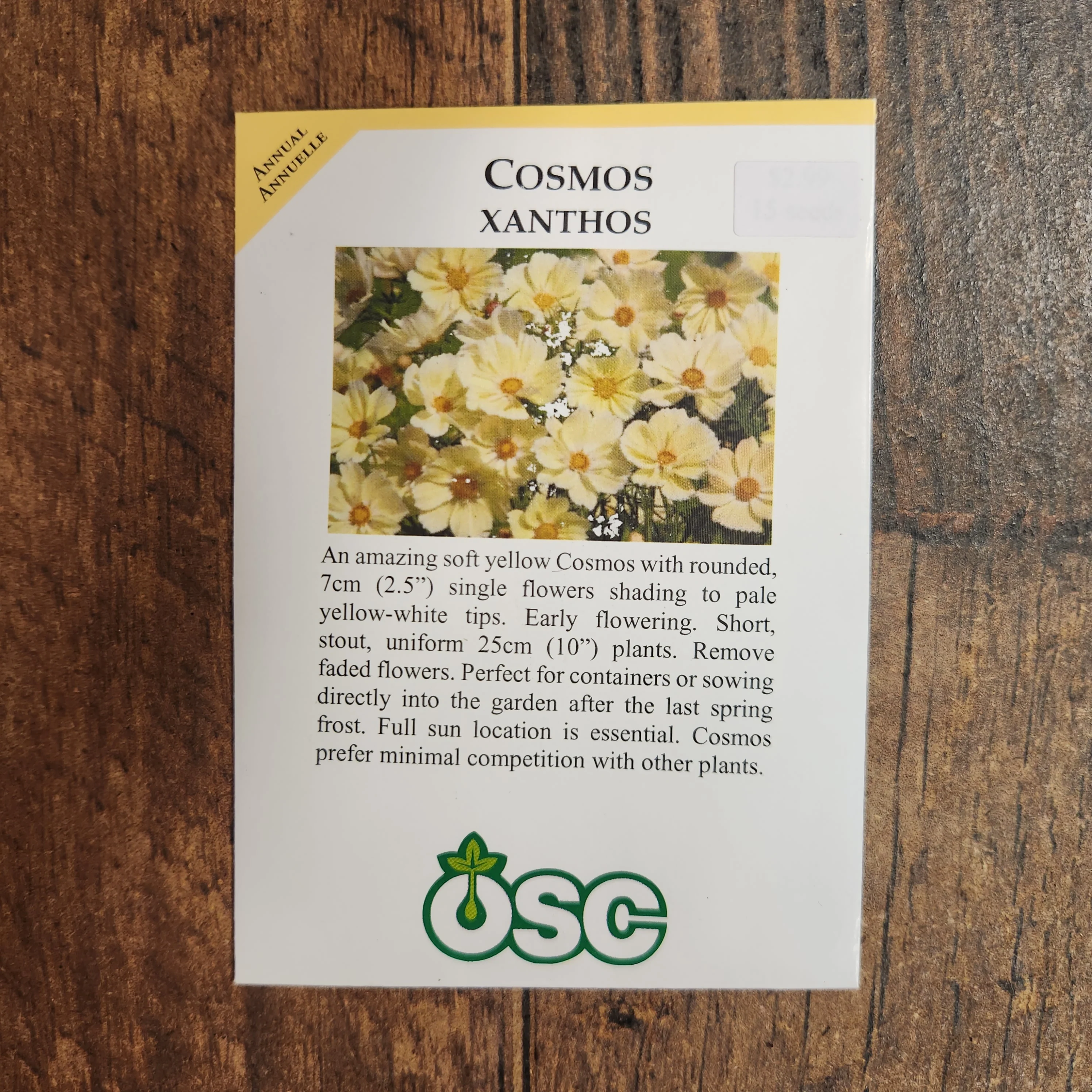 Cosmos 'Xanthos' - Image 2