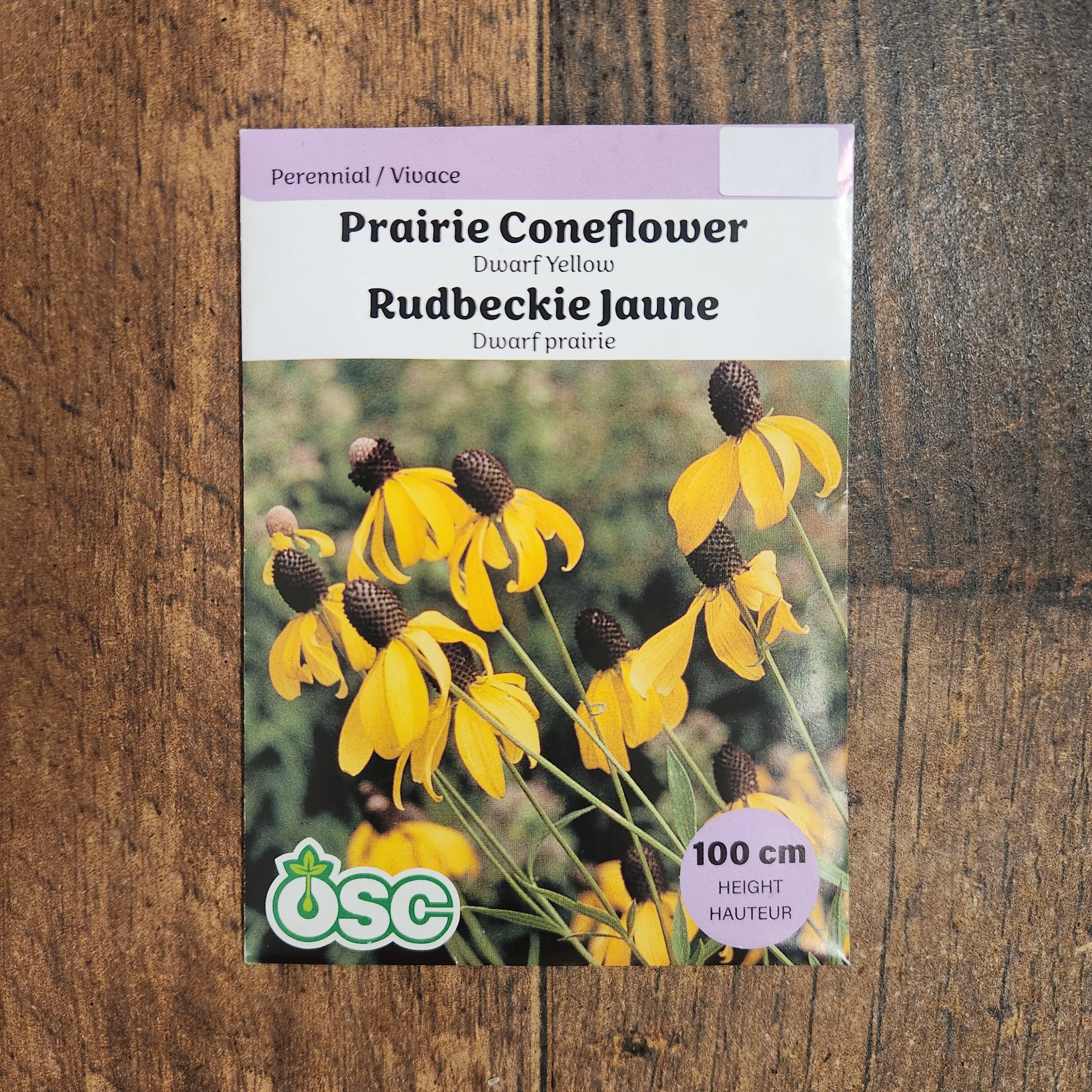 Rudbeckia nain jaune - Image 2