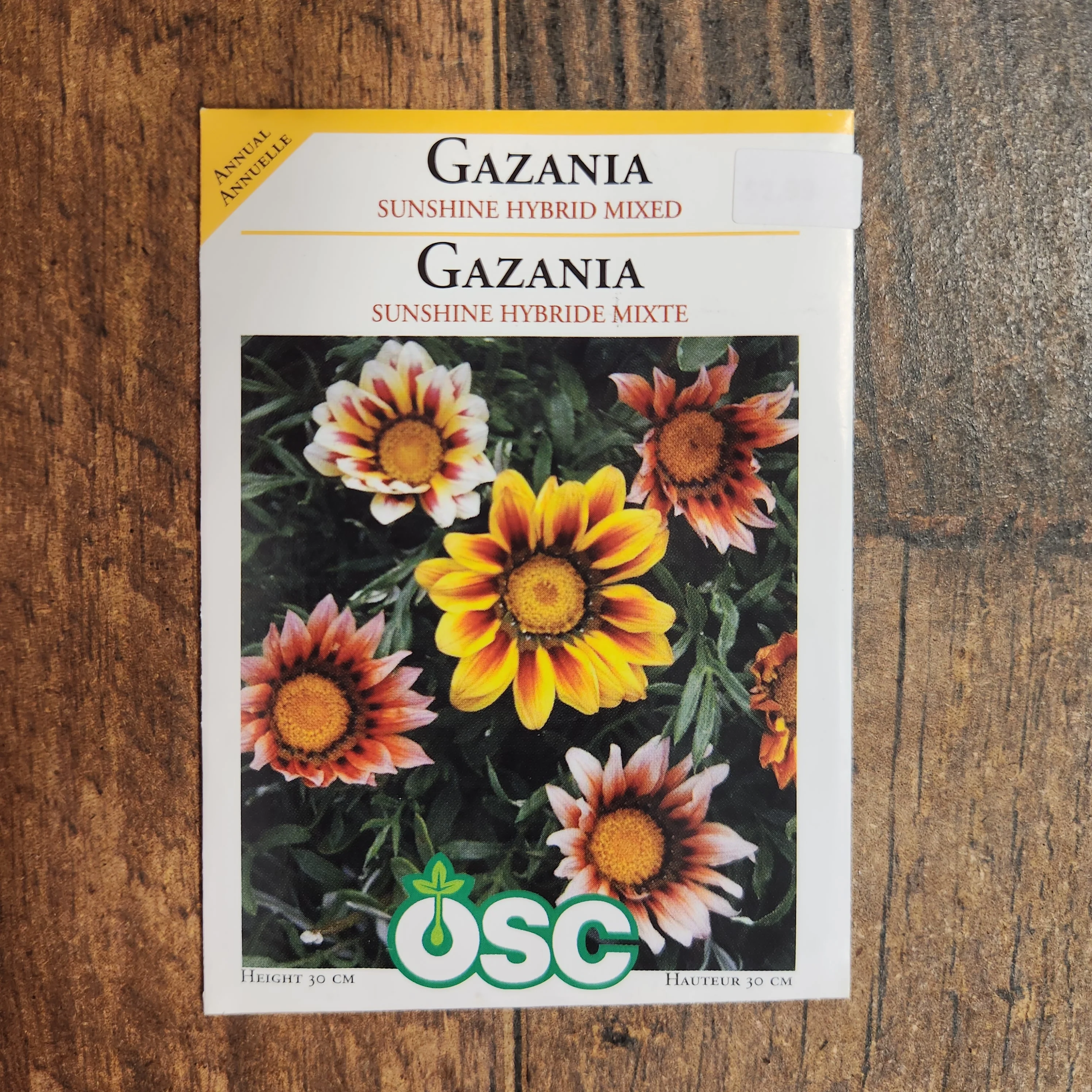 Gazania 'Sunshine Mélangés' - Image 2