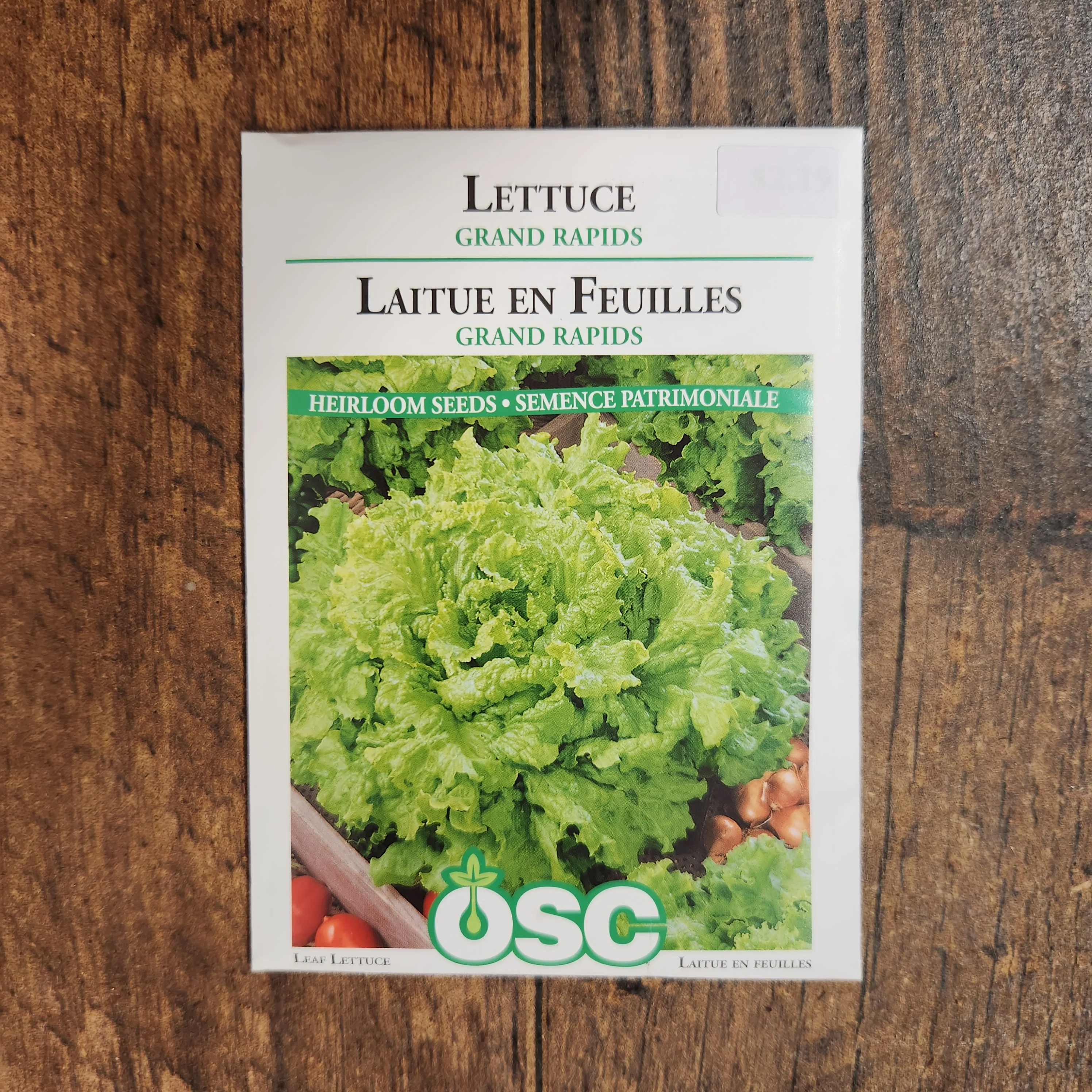 Laitue frisée 'Grand Rapids' - Image 2