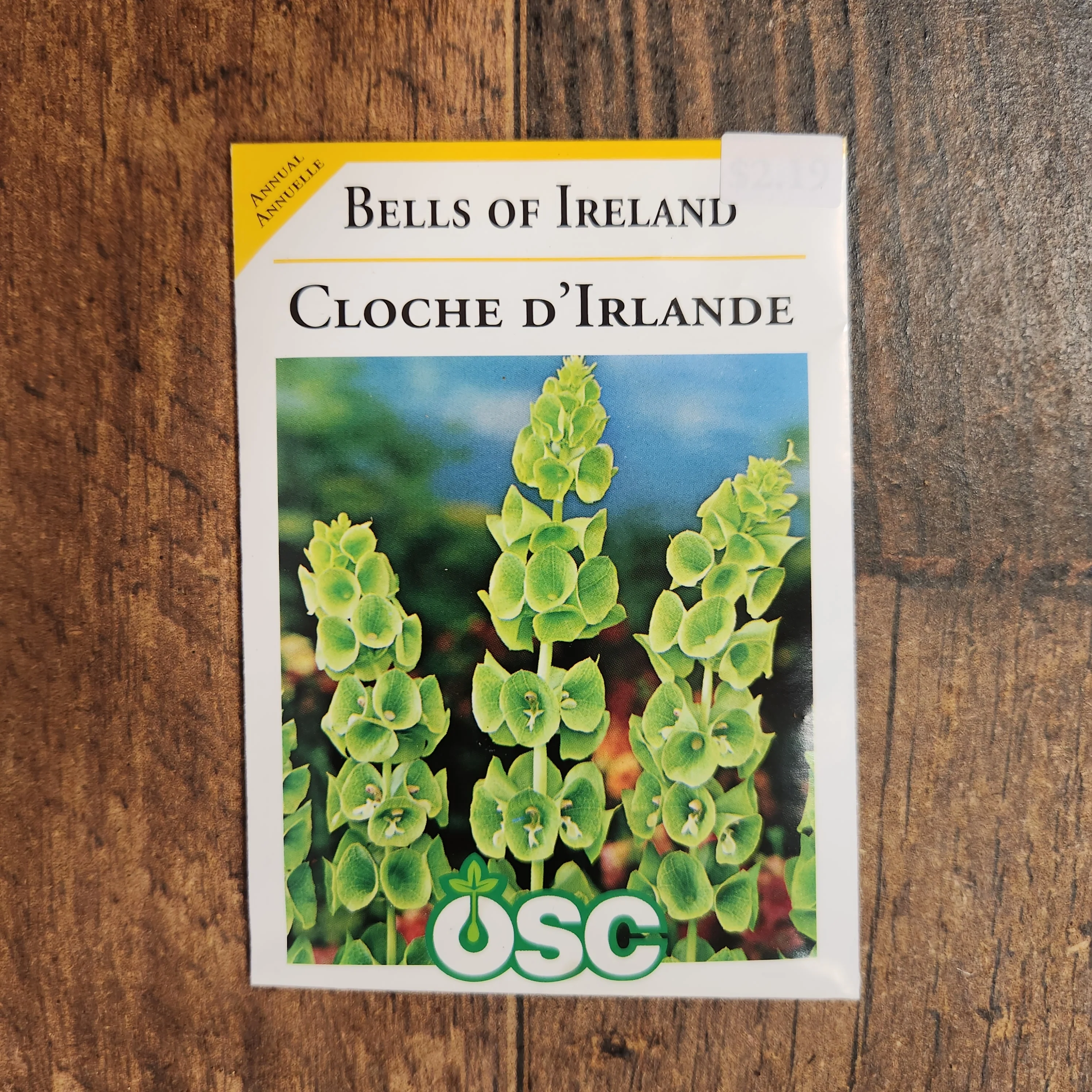 Cloche d'Irlande 'Green Bells' - Image 2