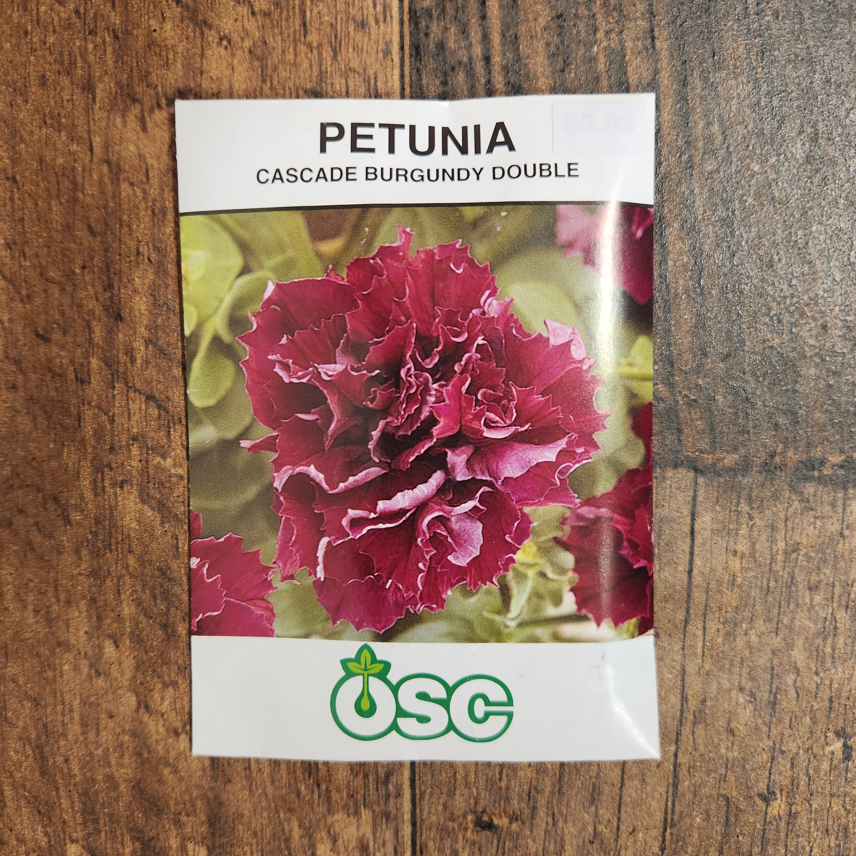 Pétunia cascade double 'Burgundy' - Image 2