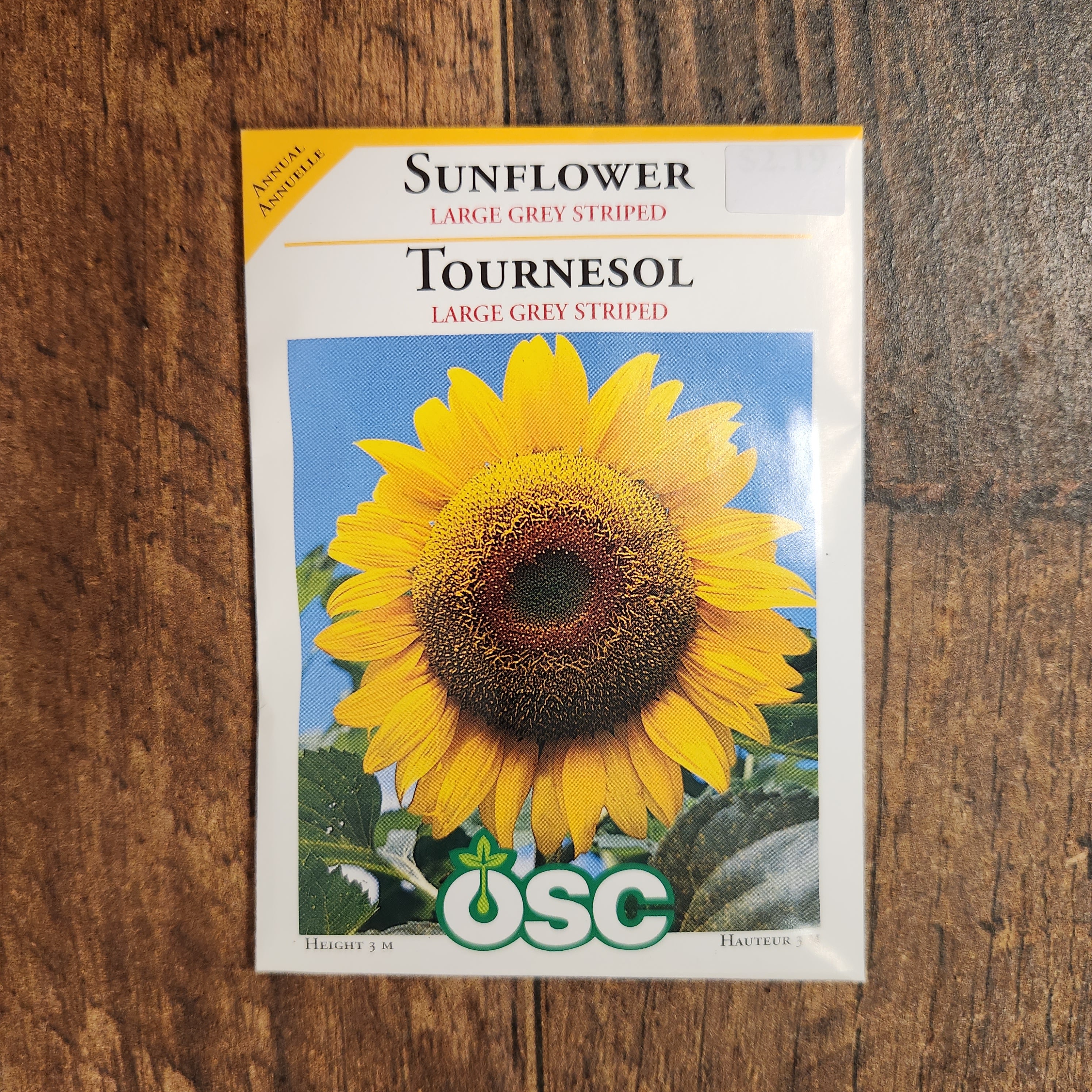 Tournesol 'Large Grey Striped' - Image 2