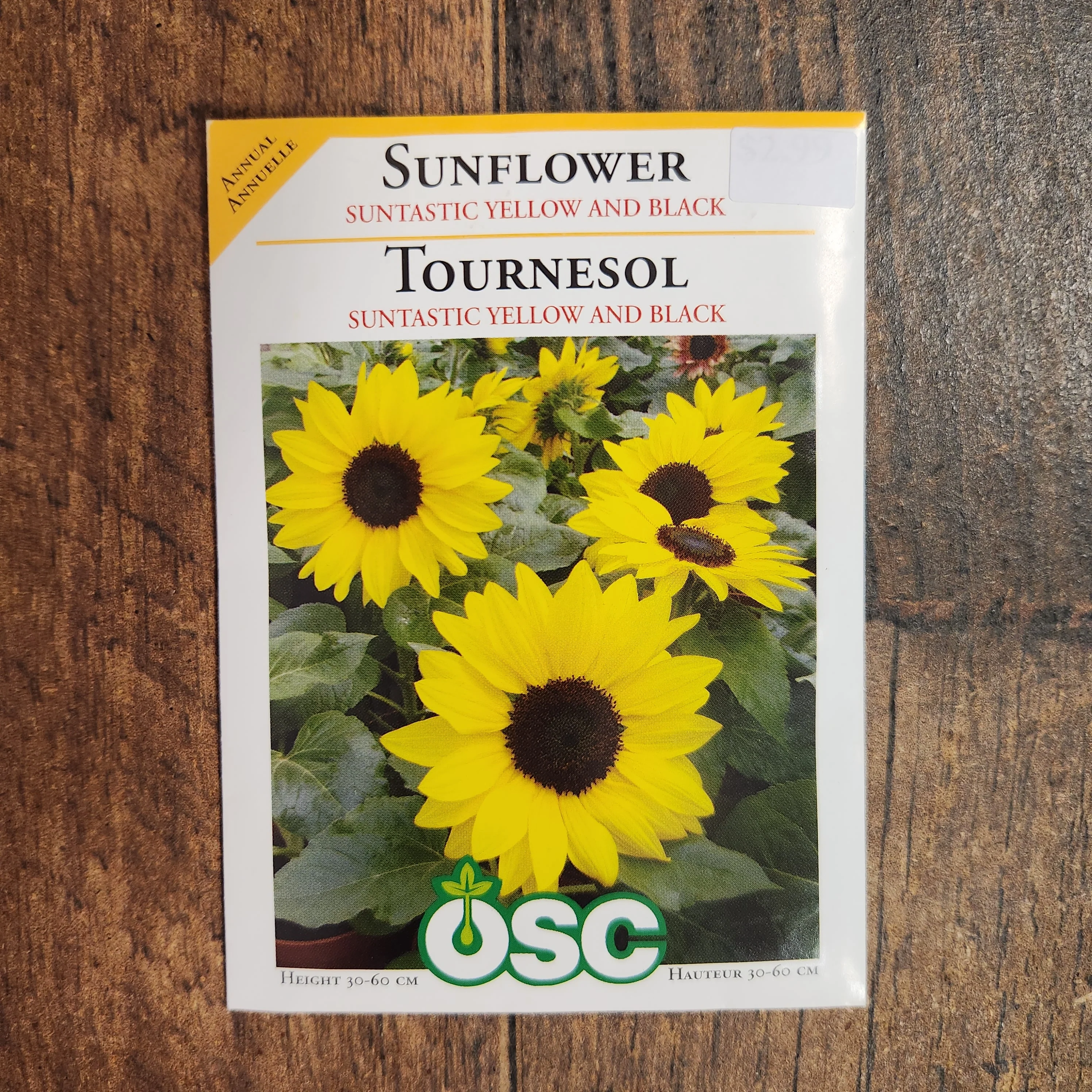 Tournesol 'Suntastic' - Image 2
