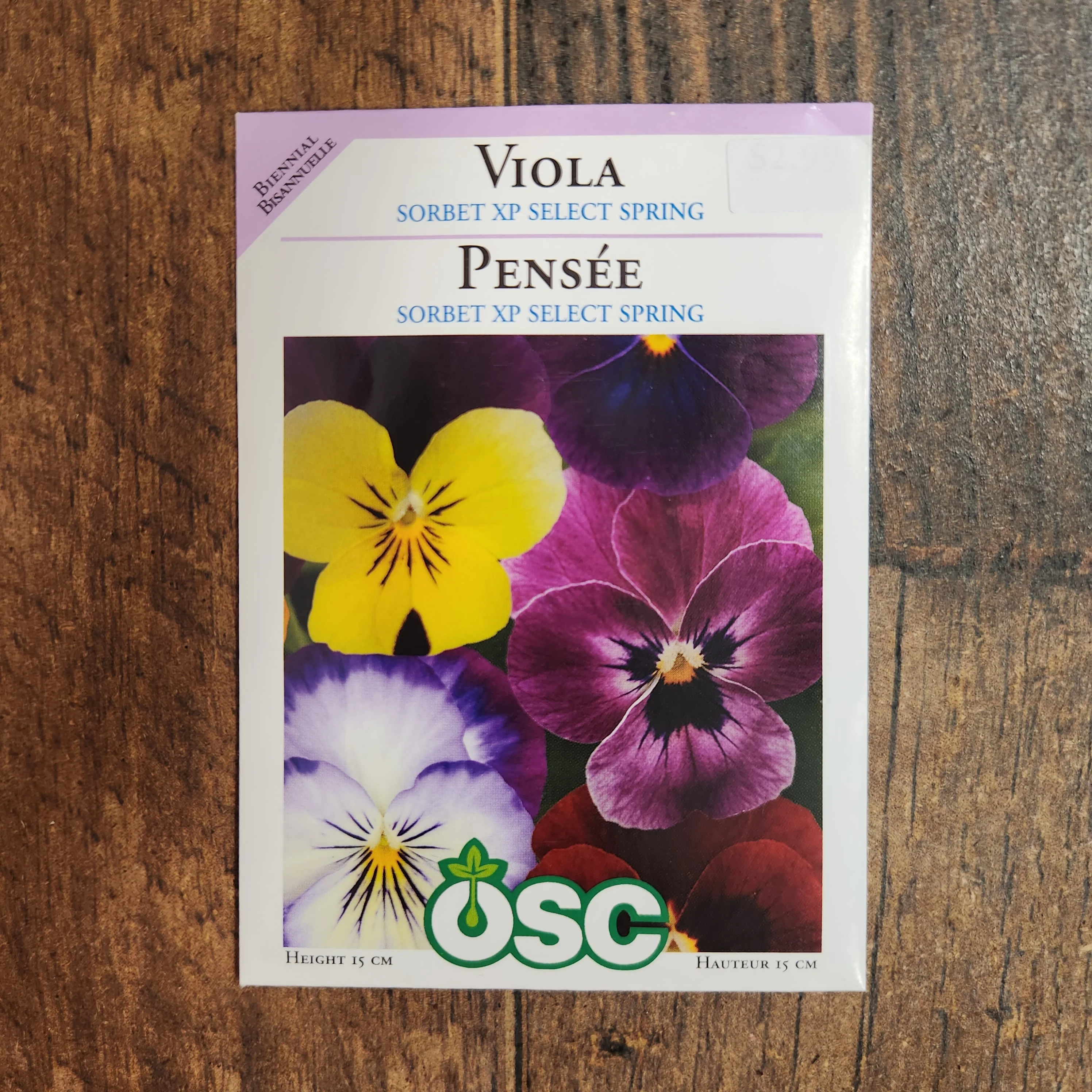 Pensée 'Sorbet XP Select Spring' - Image 2