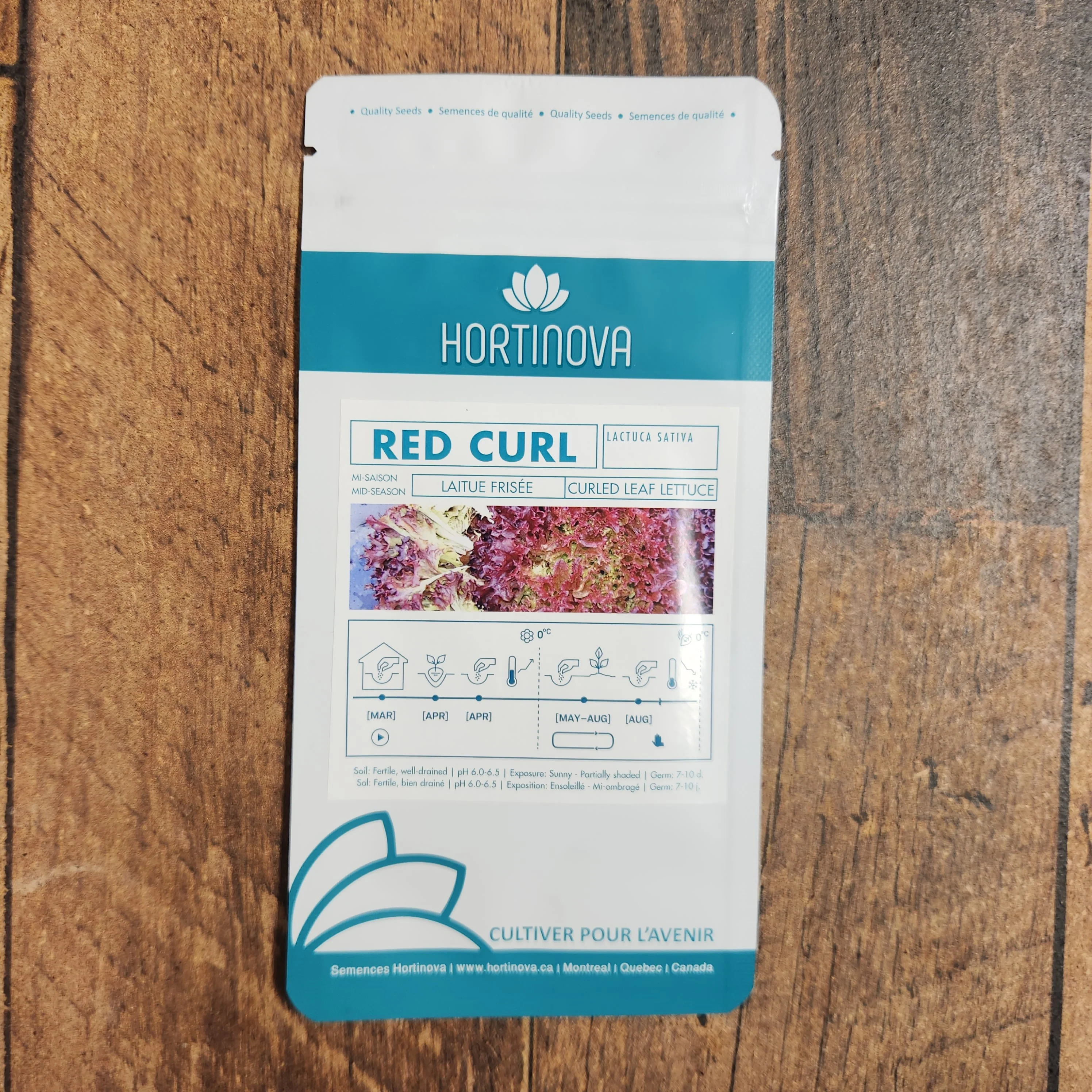 Laitue Frisée Rouge 'Red Curl' - Image 2