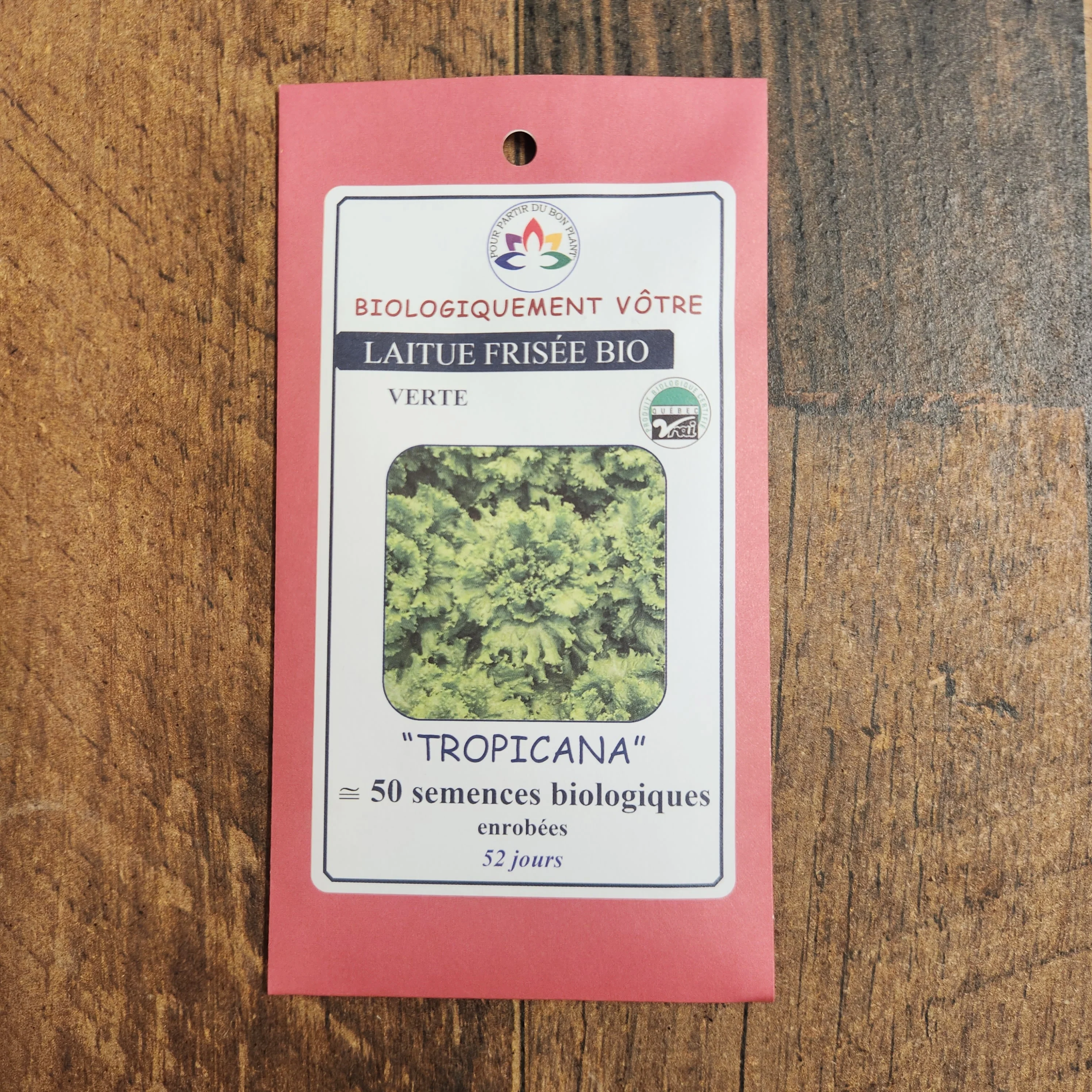 Laitue frisée verte 'Tropicana' bio - Image 2