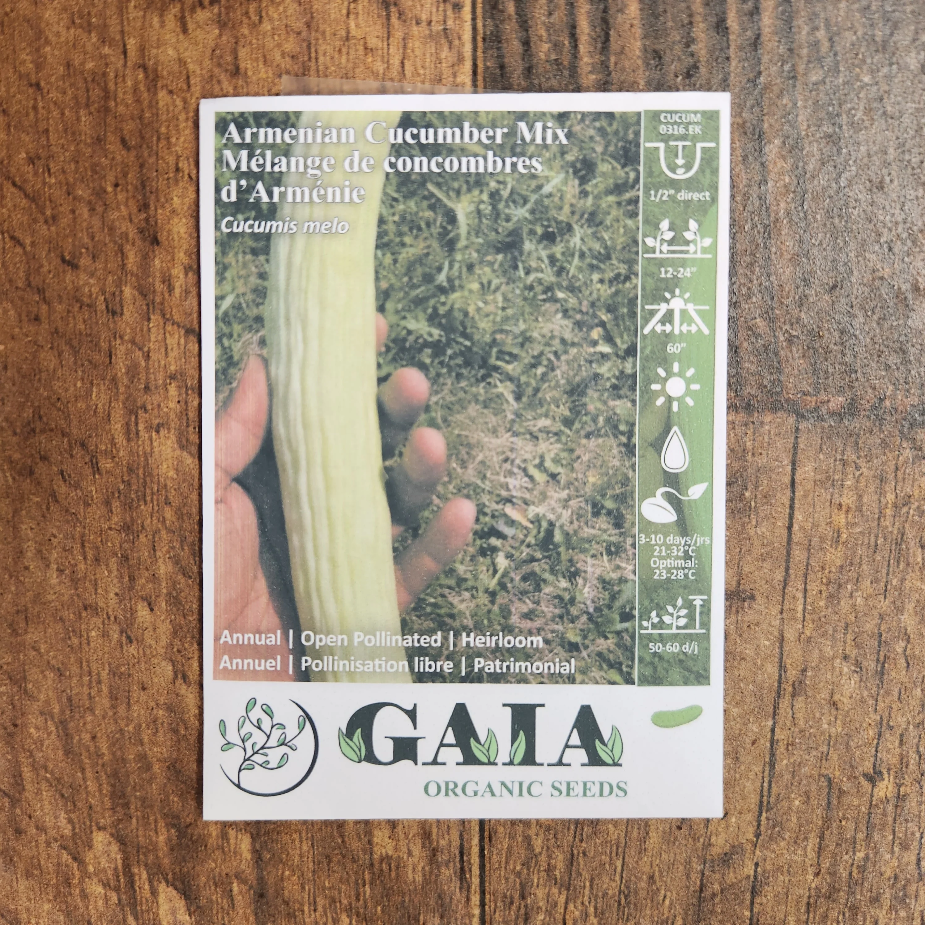 Concombre arménien 'Armenian Cucumber Mix' bio - Image 2