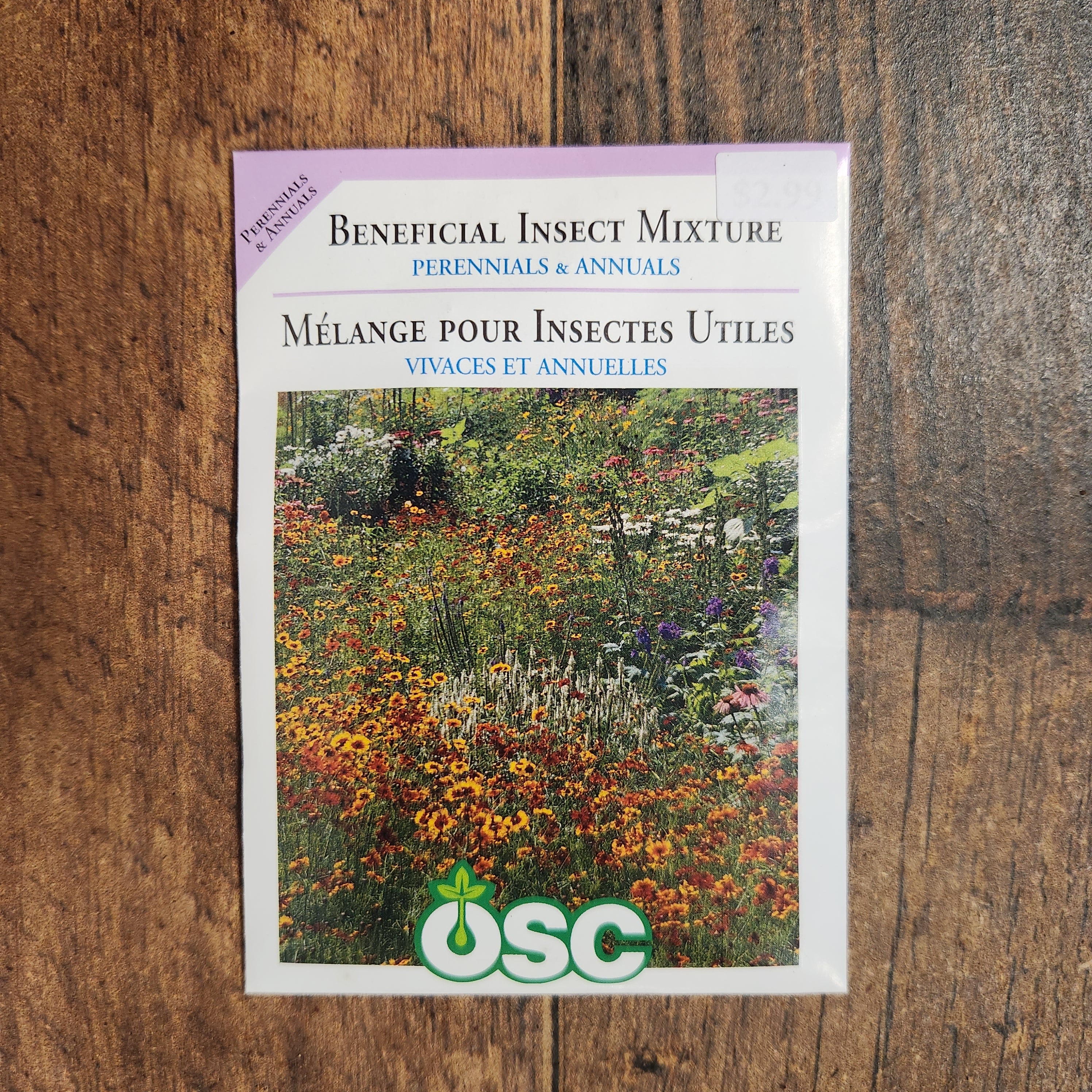 Mélange de graines pour insectes bénéfiques - Image 2