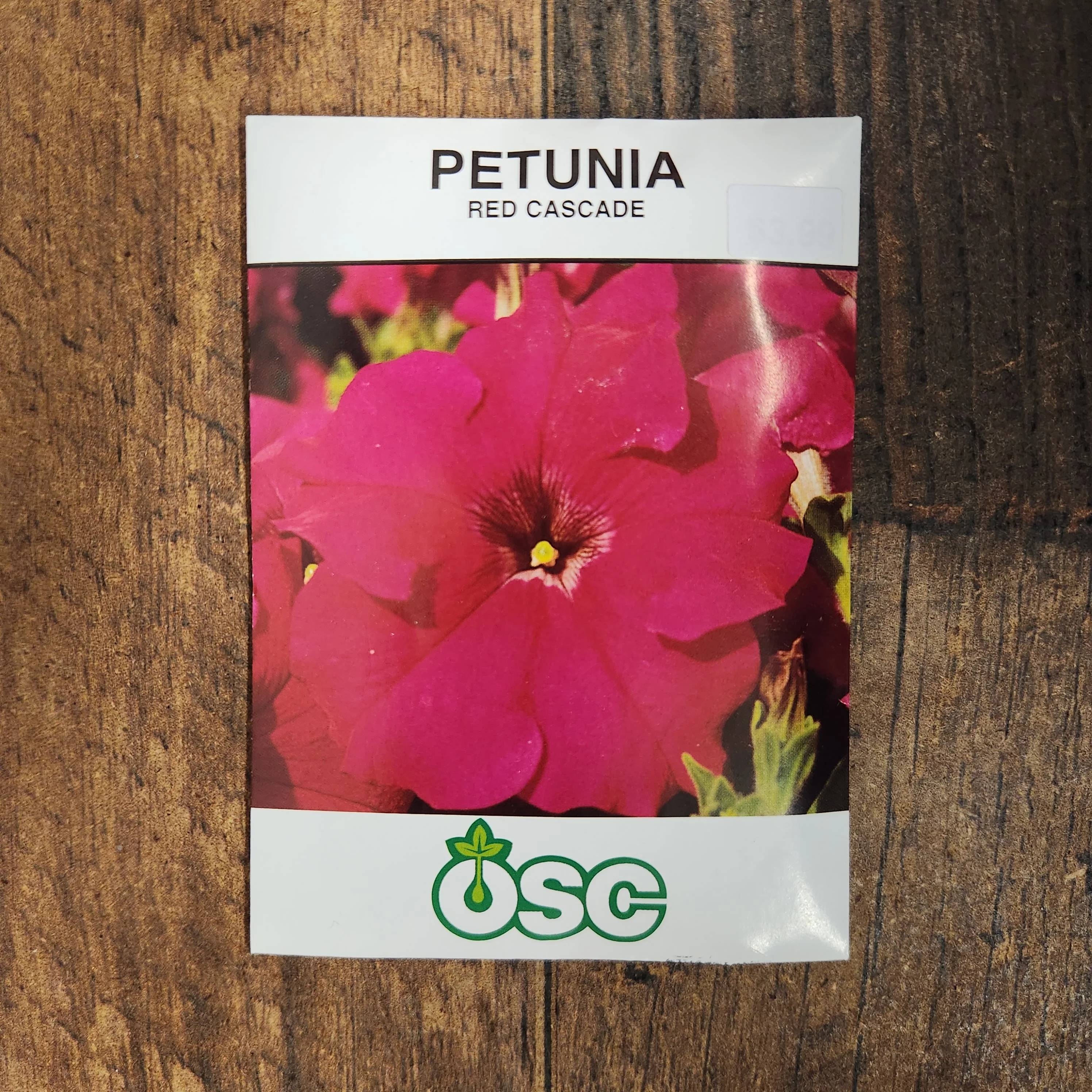 Pétunia cascade 'Red' - Image 2