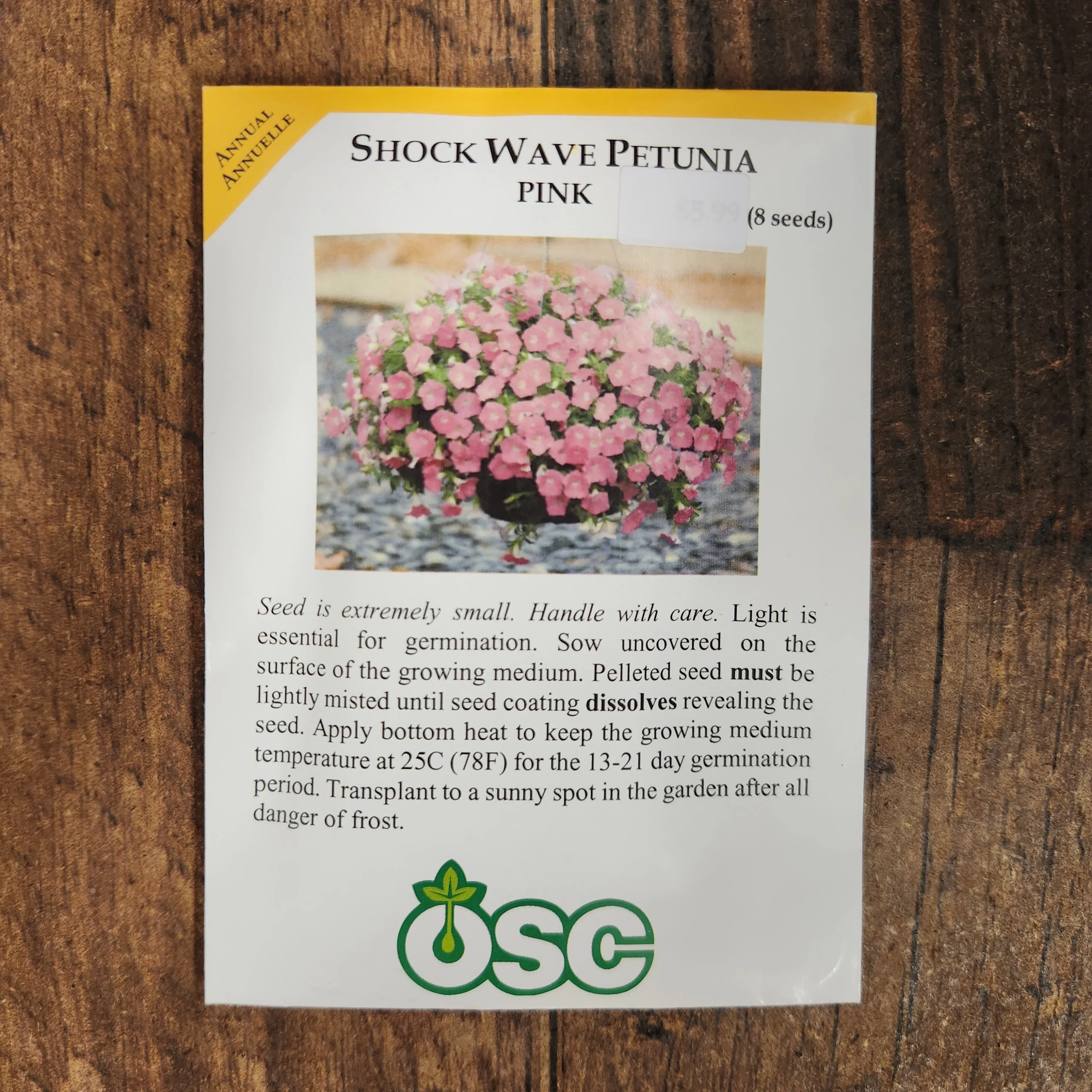 Pétunia Shock Wave 'Pink' - Image 2