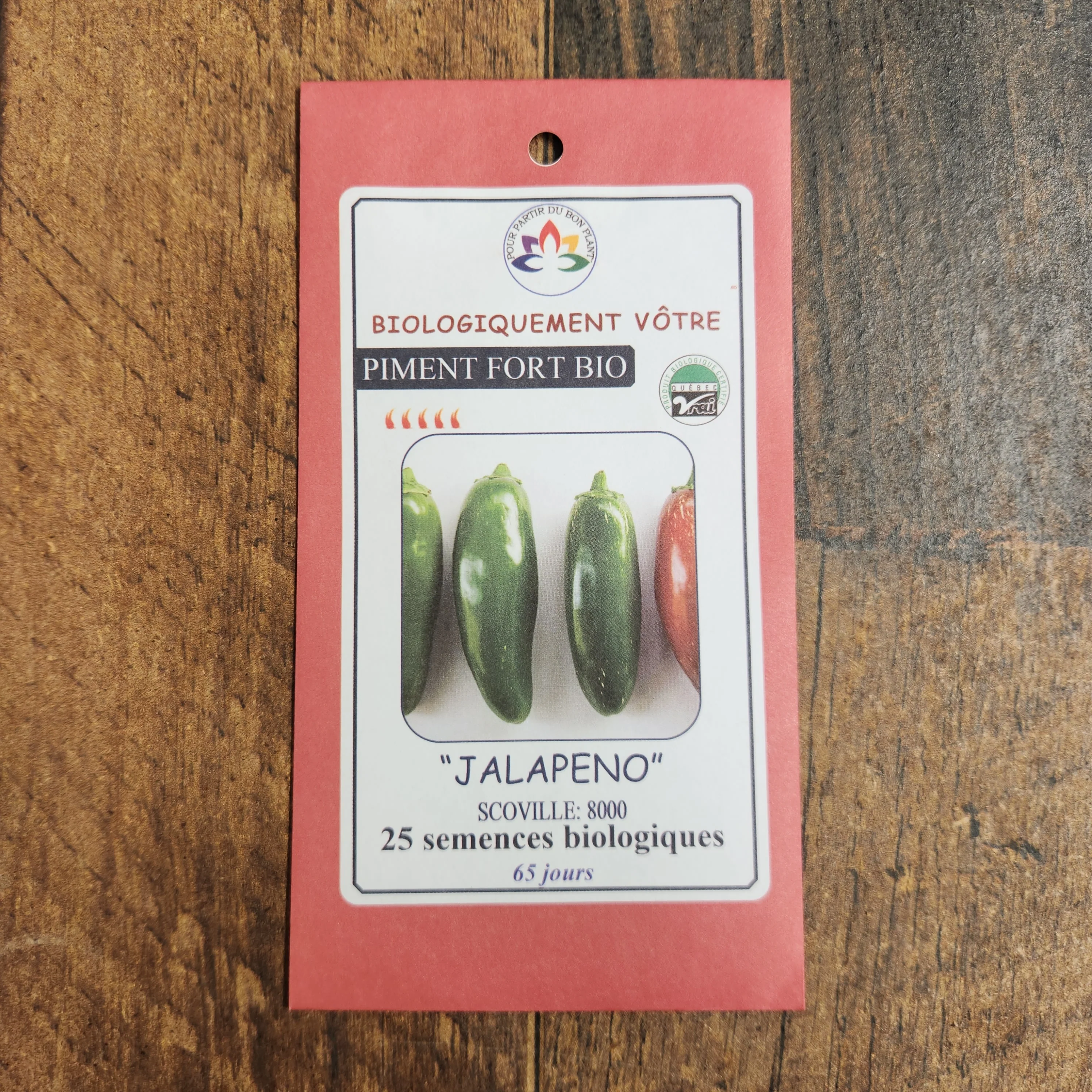 Piment fort 'Jalapeño' bio - Image 2