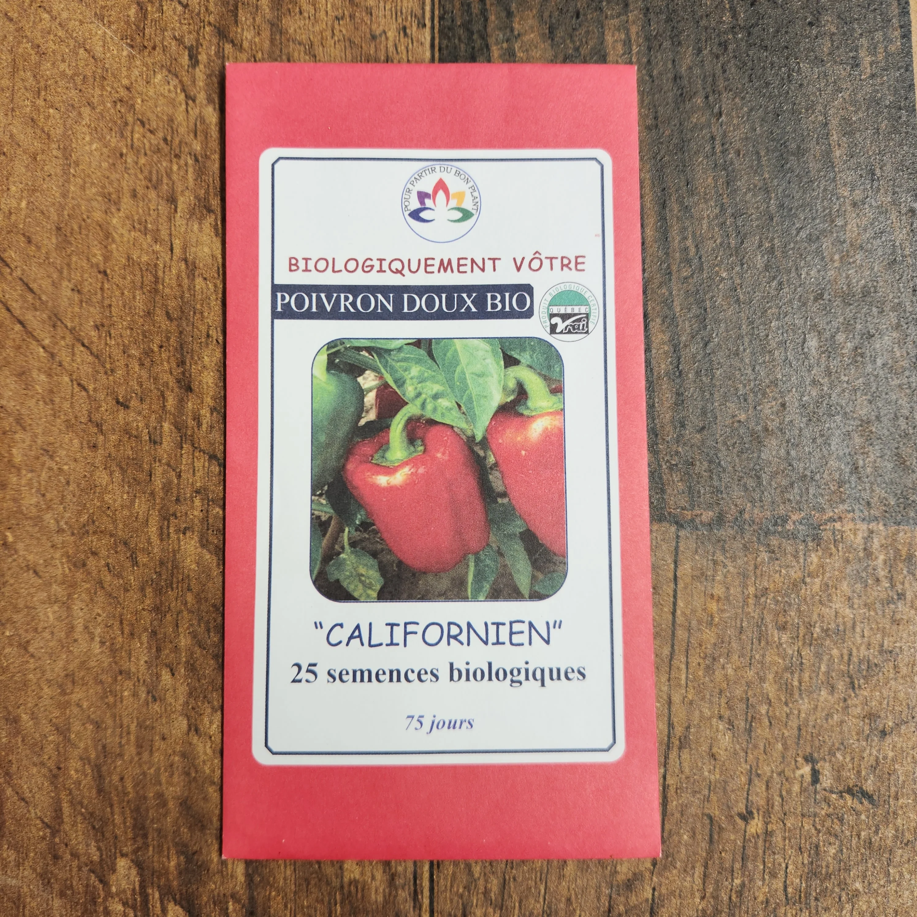Poivron rouge 'Californien' bio - Image 2