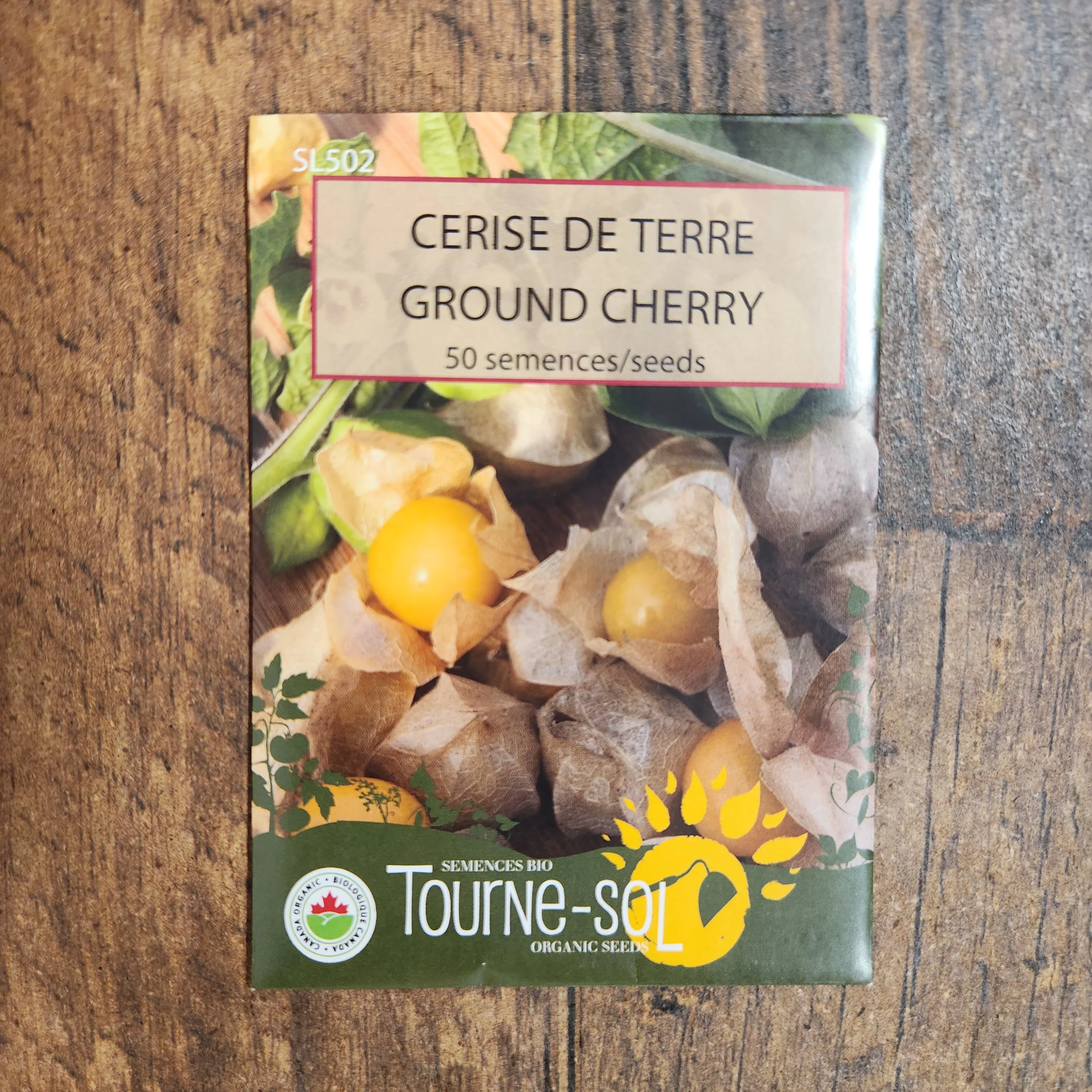 Cerise de terre bio - Image 2