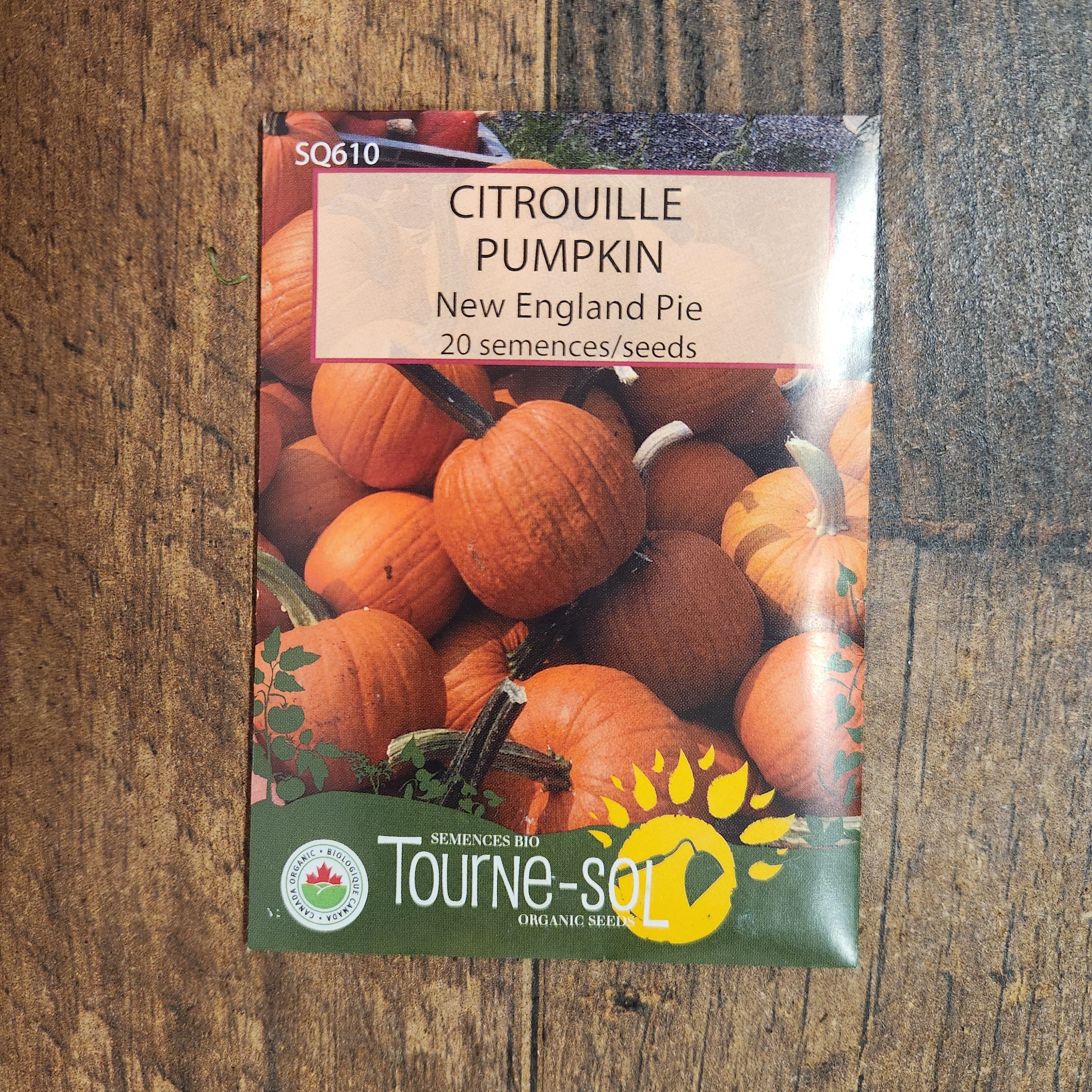 Citrouille à tarte 'New England' bio - Image 2