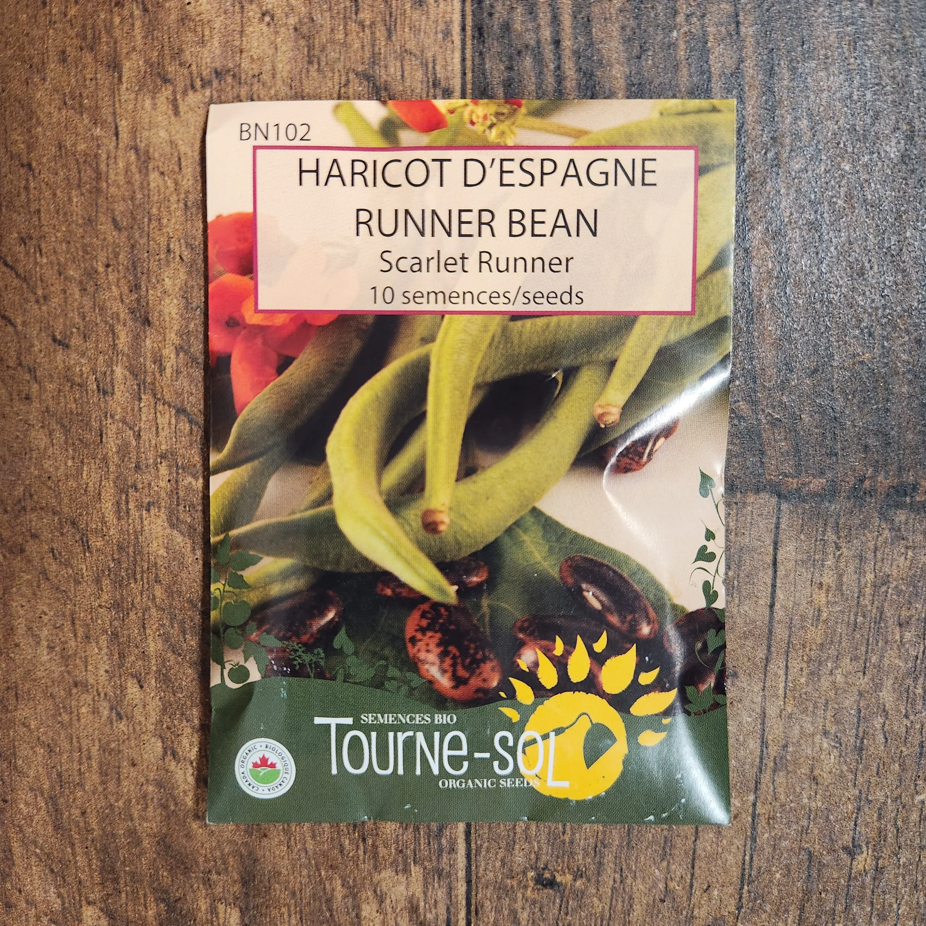 Haricot d'Espagne 'Scarlet Runner' bio - Image 2