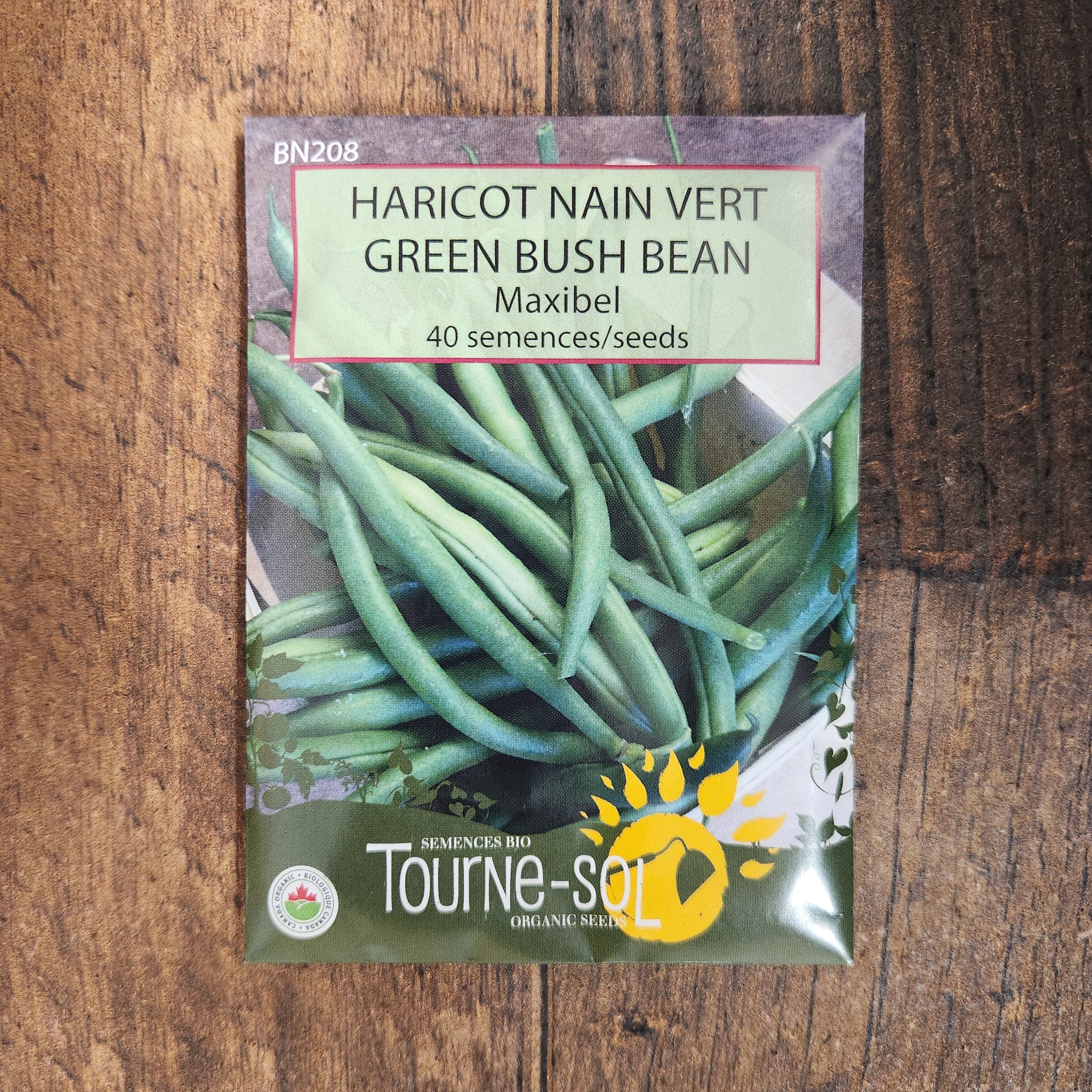 Haricot nain vert 'Maxibel' bio - Image 2