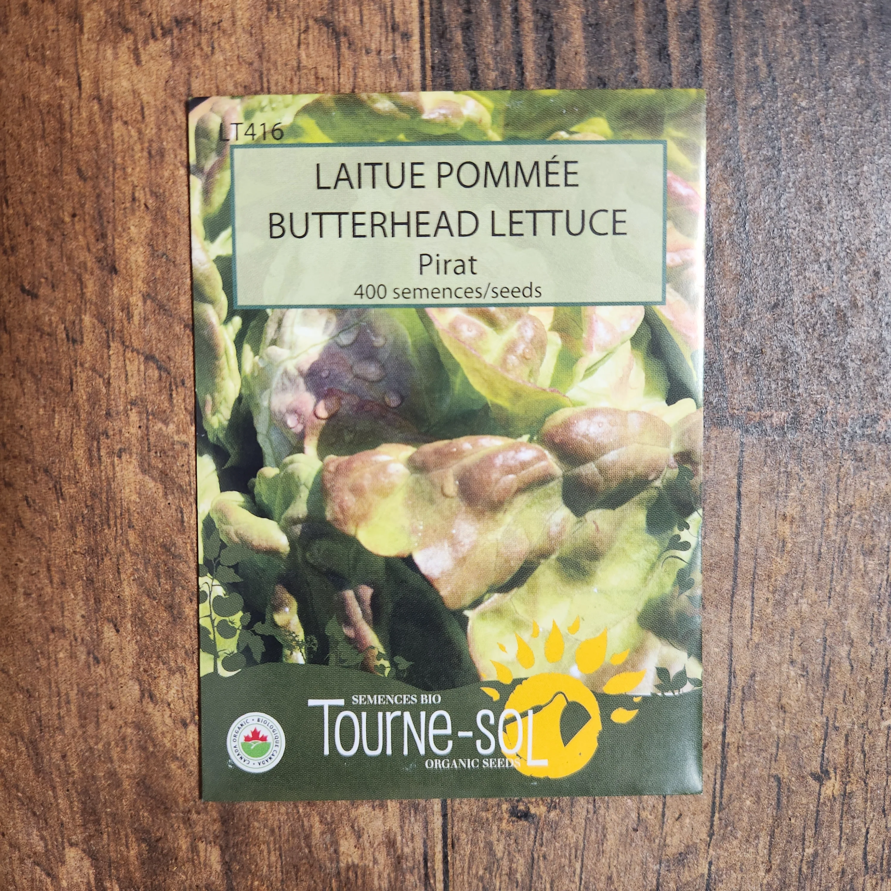 Laitue pommée 'Pirat' bio - Image 2