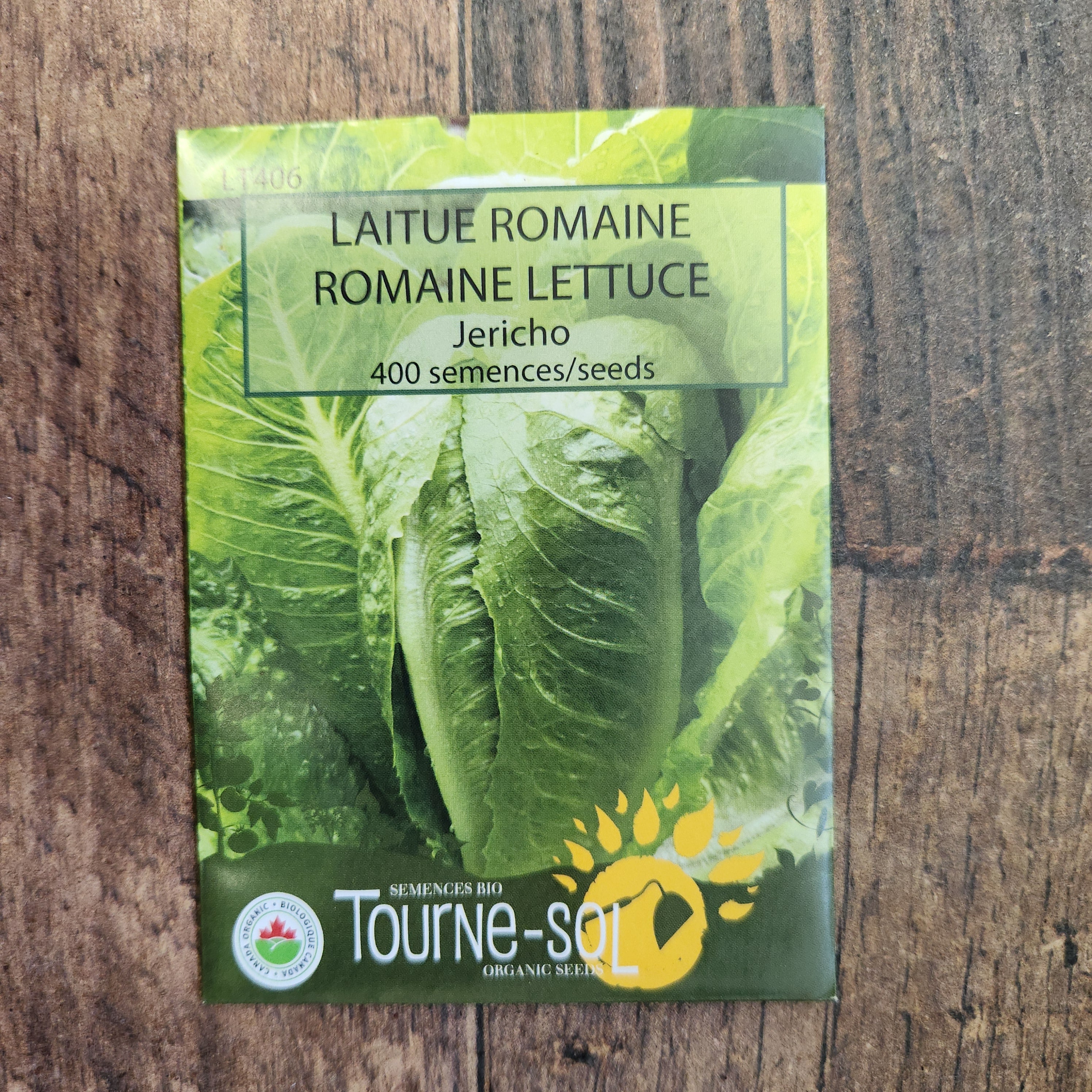 Laitue romaine 'Jericho' bio - Image 2