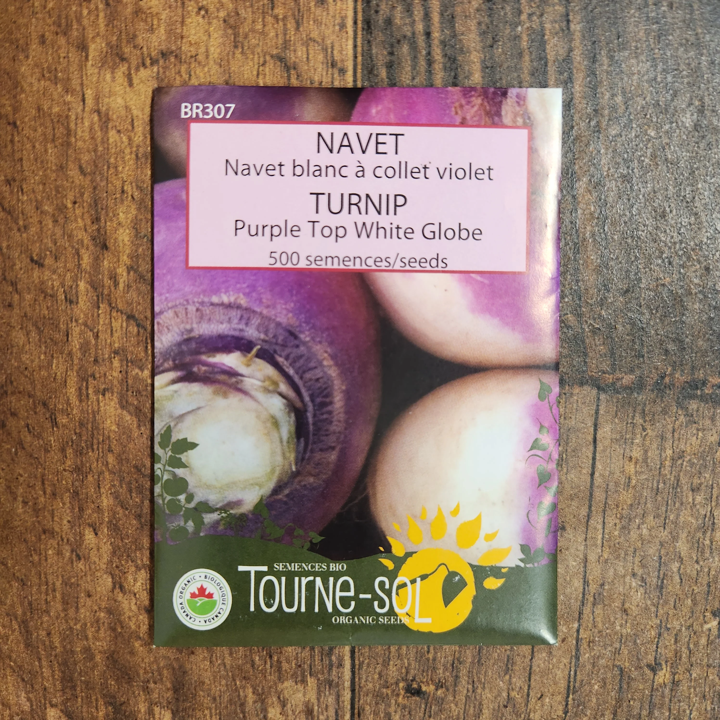 Navet blanc à collet violet bio - Image 2