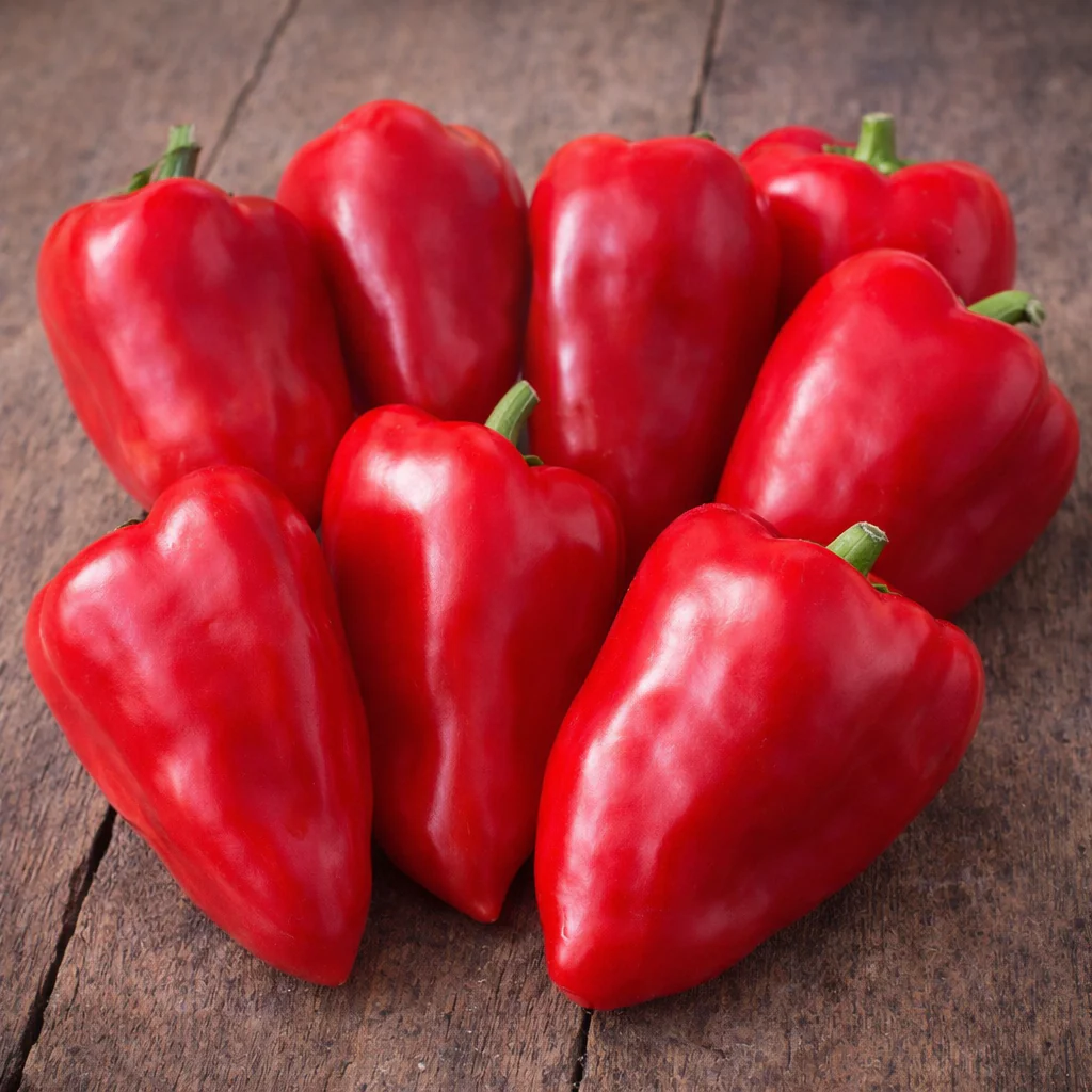Poivron rouge 'Lipstick' bio
