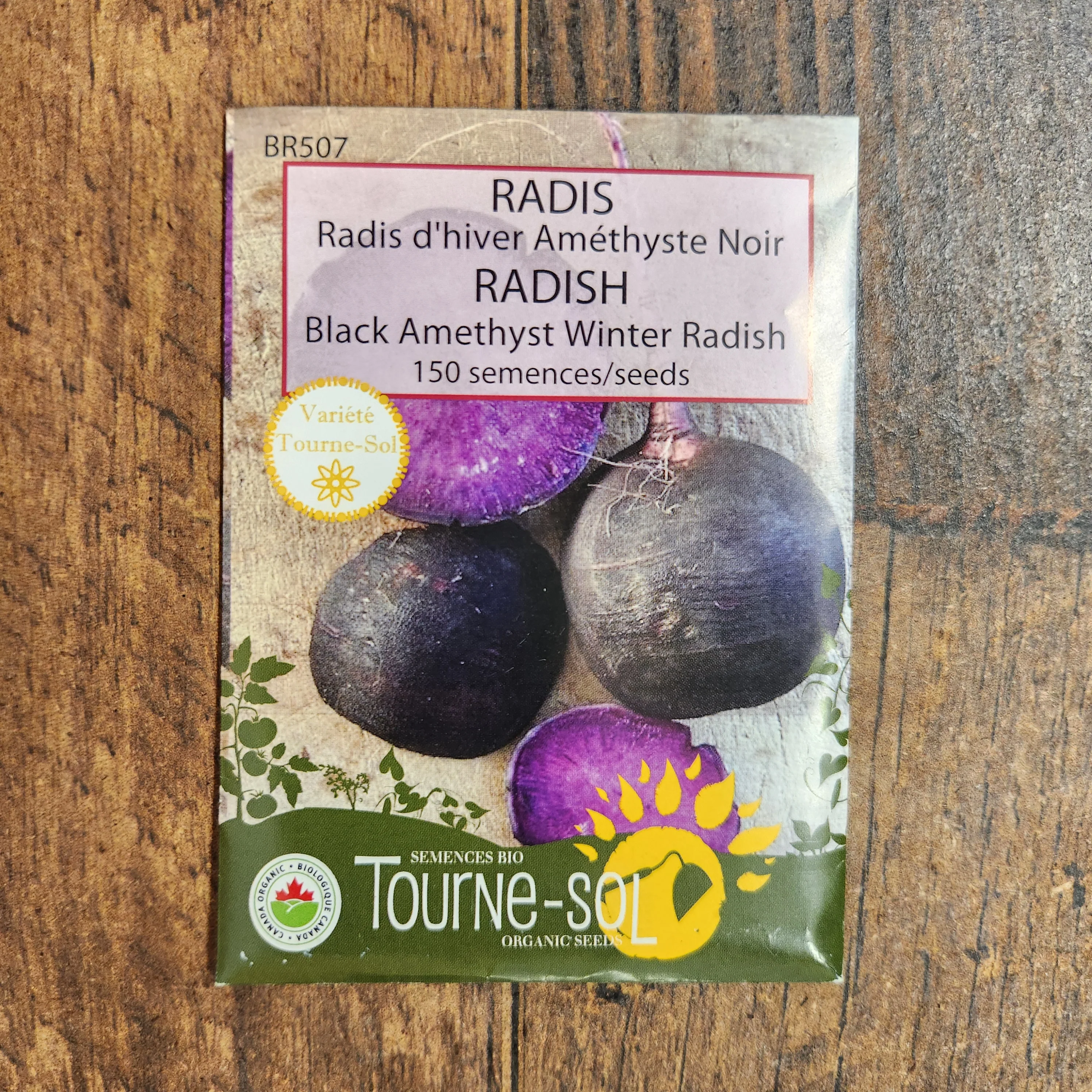 Radis d'hiver 'Améthyste Noir' bio - Image 2