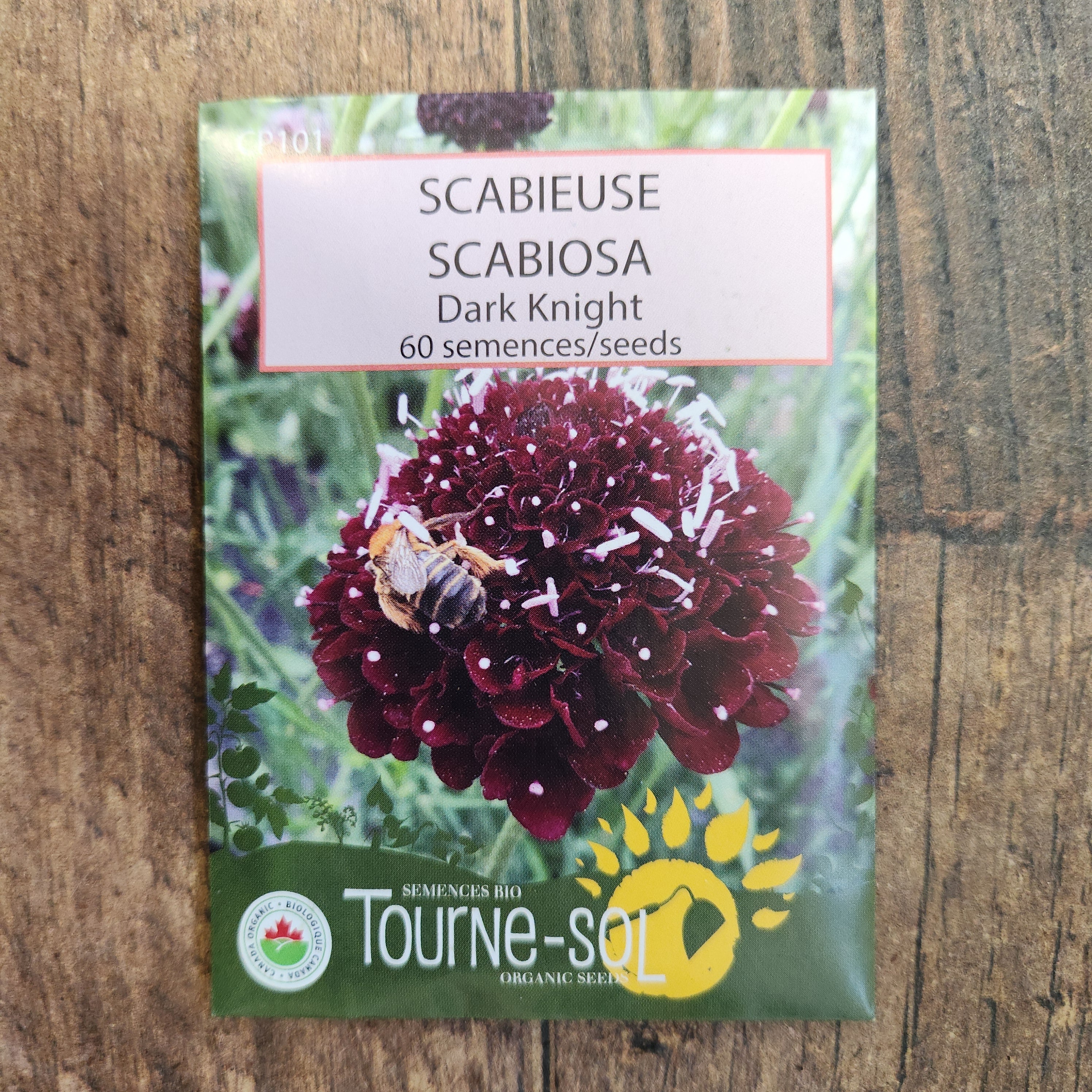 Scabieuse 'Black Knight' bio - Image 2