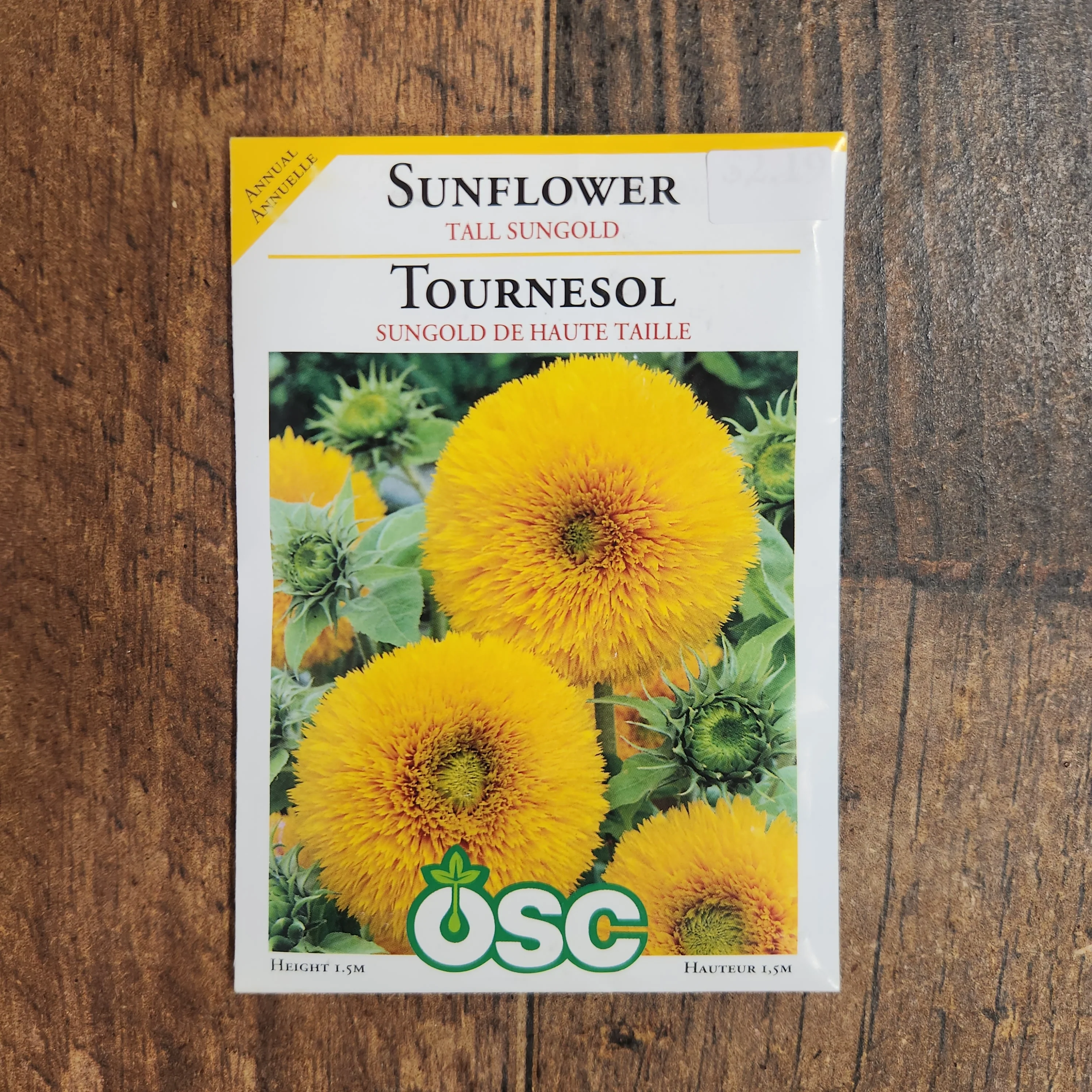 Tournesol 'Tall Sungold' - Image 2