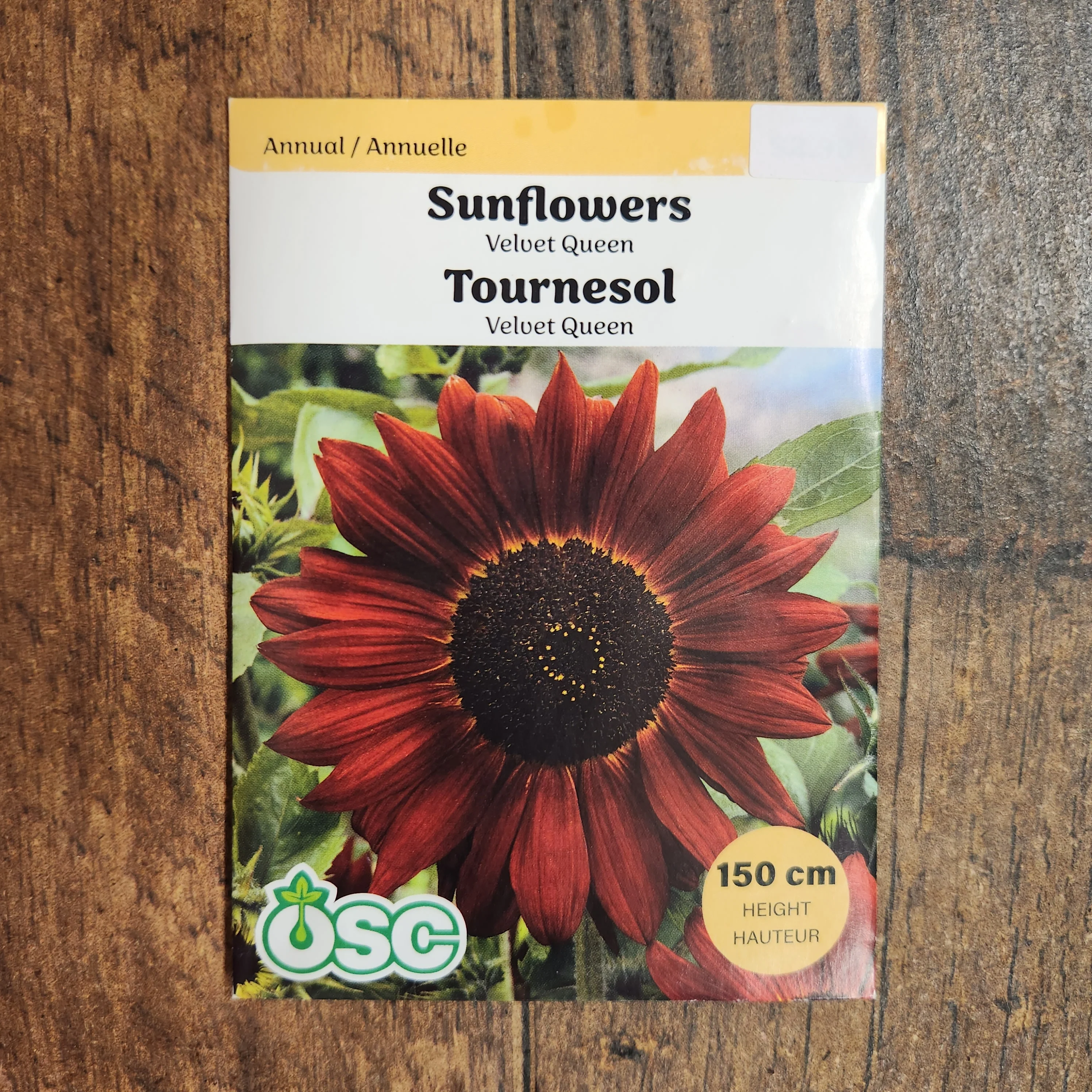 Tournesol 'Velvet Queen' - Image 2