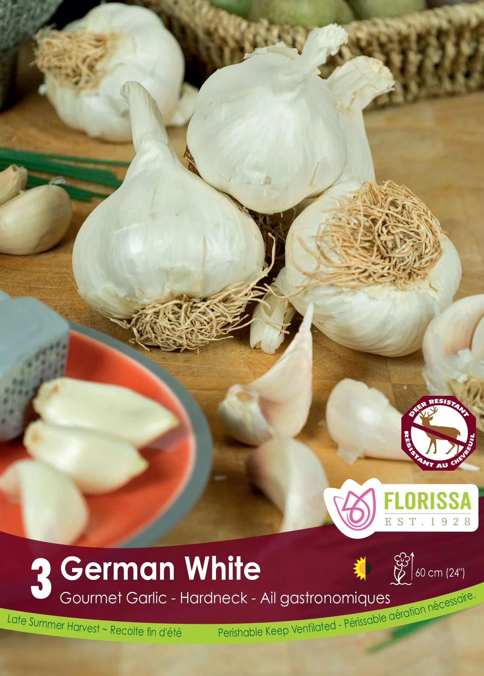Ail German White