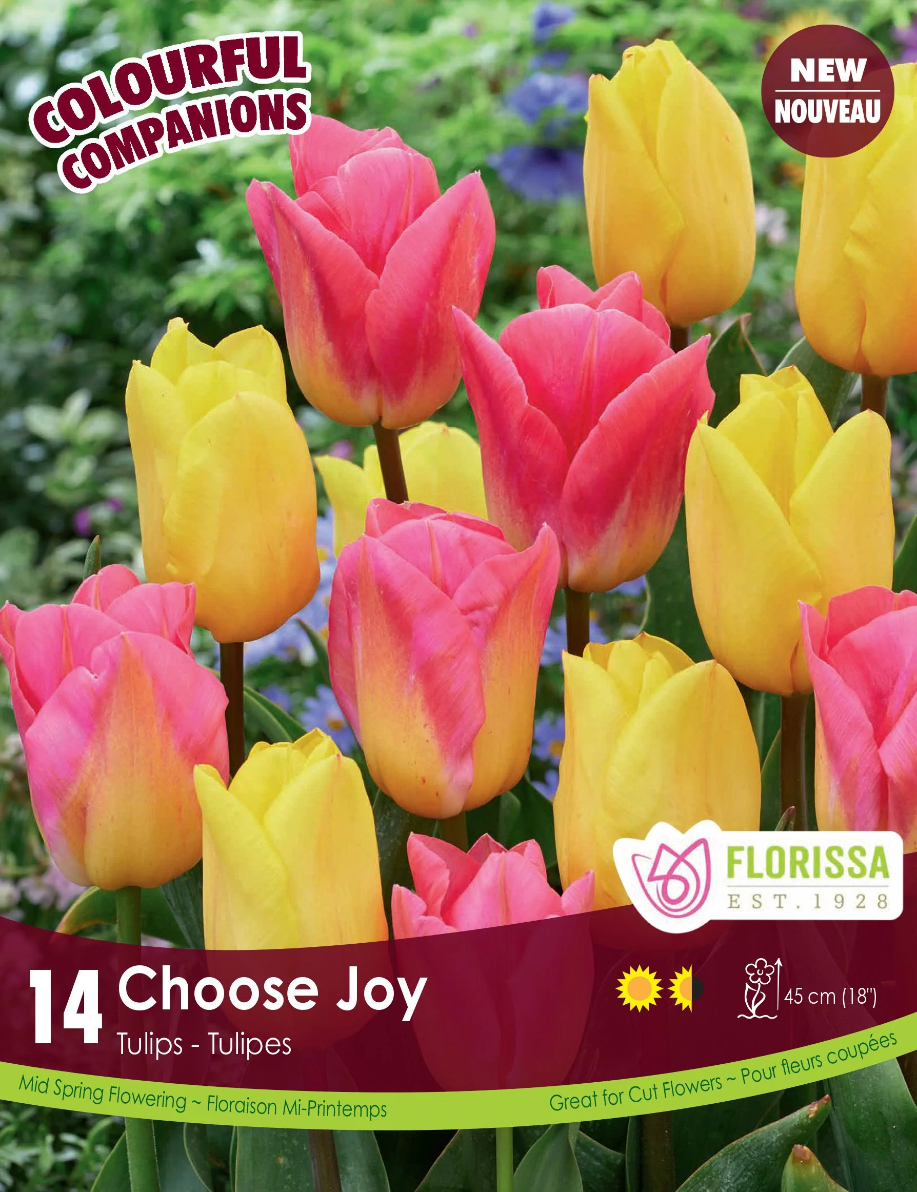 Harmonie Florale – Choose Joy