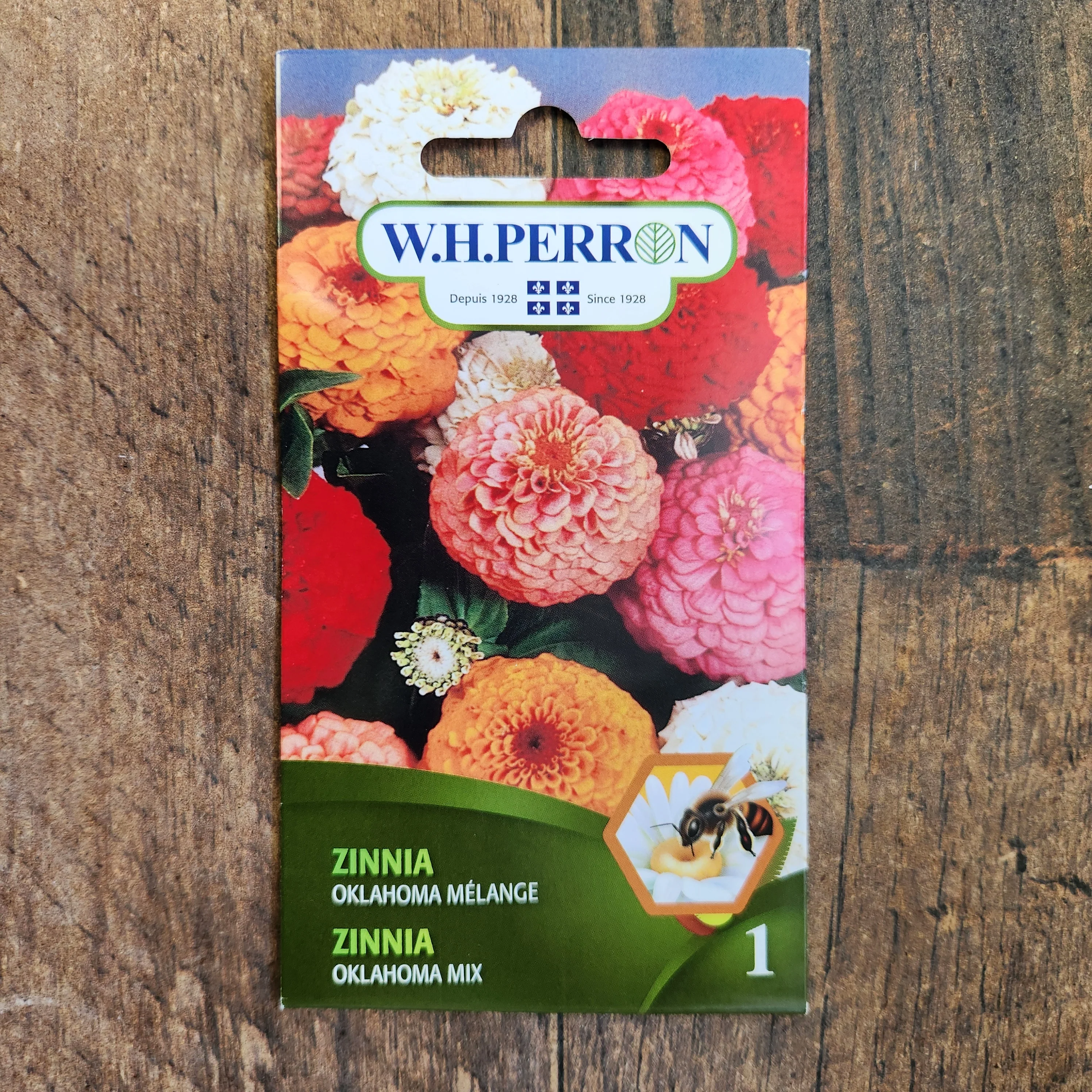 Mélange de zinnia 'Oklahoma' - Image 2